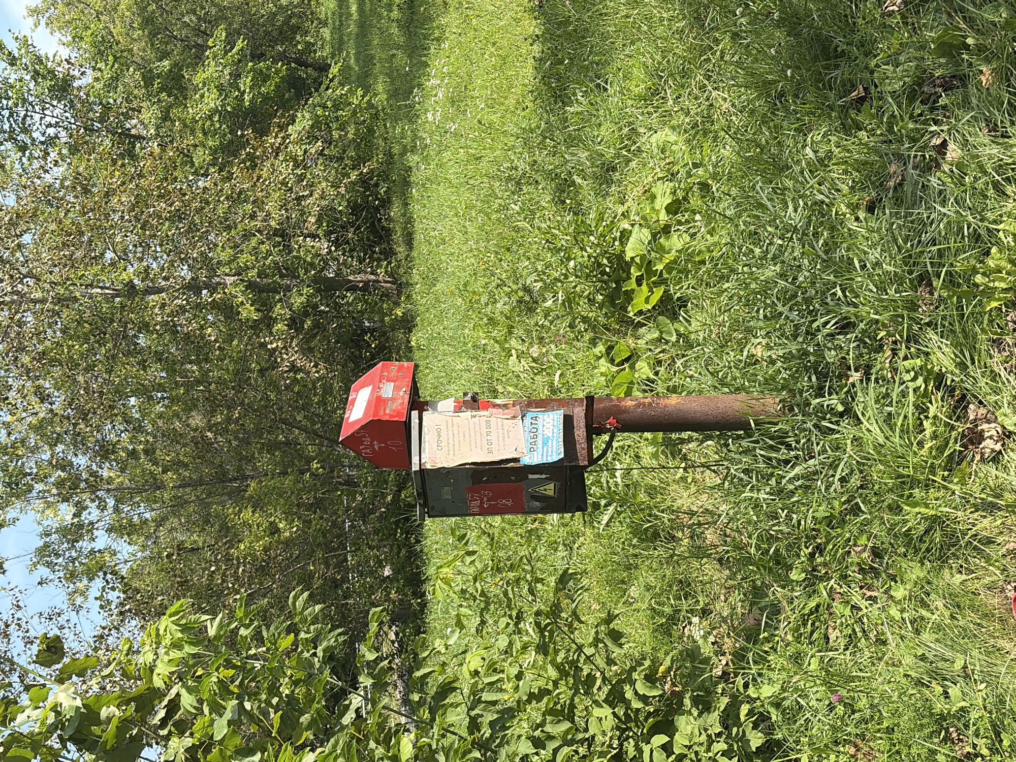 A rusted metal post supports a weathered electrical box or utility cabinet, adorned with various stickers. A red, house-shaped cap sits atop the box. The box itself has some labels, including one with Cyrillic text and what appears to be a phone number. There's a yellow warning sticker with a lightning bolt symbol on the front of the box. The scene is set in a grassy area with trees and foliage in the background, suggesting an outdoor location. The overall impression is one of an outdoor utility installation in a somewhat overgrown, natural setting. The image appears to be taken in the city of Yekaterinburg, Russia.