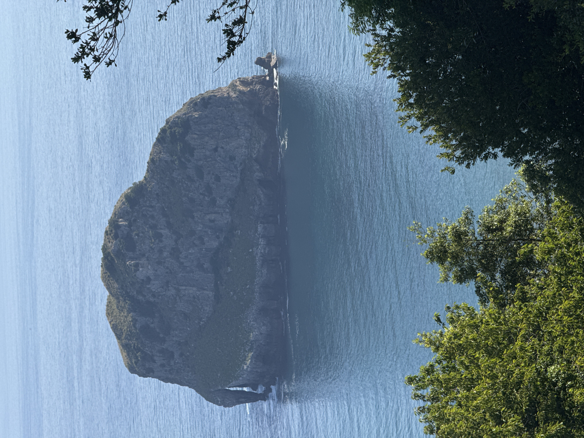 A scenic view captures a large, isolated rock formation rising dramatically from the clear blue sea. The rock is predominantly dark gray, with patches of green vegetation clinging to its steep slopes. A notable archway, or cave, is visible on the left side of the formation, with water lapping at its base. The sea stretches out to the horizon, marked by gentle ripples and a reflection of the sky. In the foreground and partially framing the view, lush green trees with dense foliage are present, their branches reaching into the frame. The image is taken from an elevated perspective, overlooking the island and the expansive ocean. The location is believed to be the Aketxe Island, a well-known landmark off the coast of Bermeo, Spain.