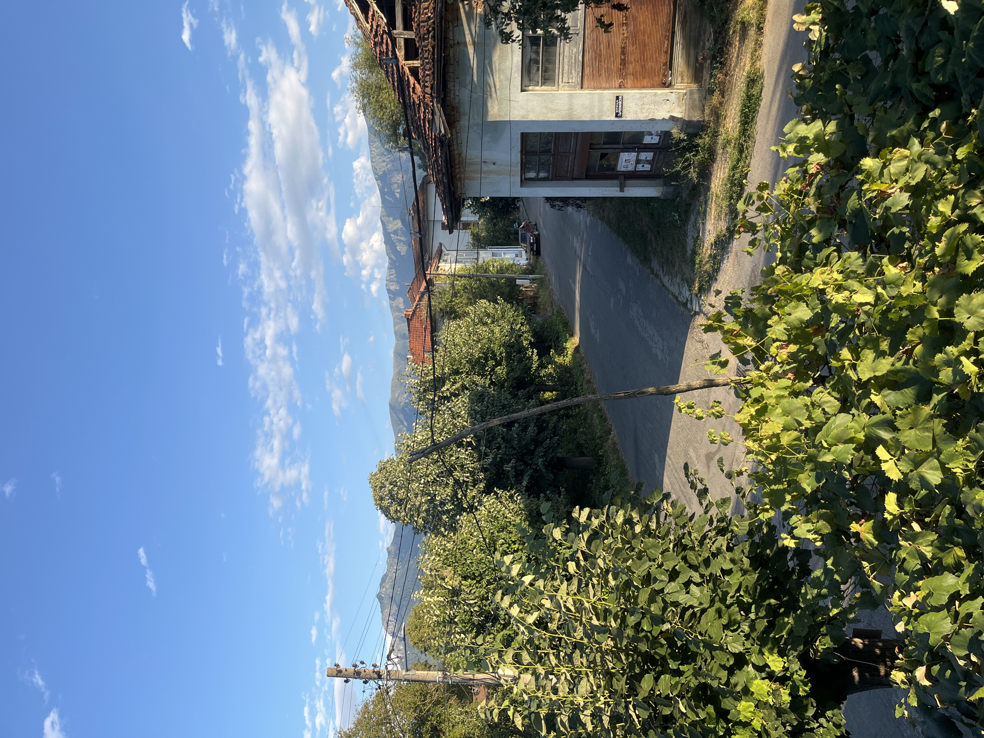 This is a vertical, eye-level, medium shot of a village street in Apriltsi, Bulgaria. The scene is bathed in the warm light of late afternoon, casting long shadows. The foreground is dominated by lush green foliage, possibly from a grapevine, with some leaves catching the sunlight. Beyond the foliage, a narrow asphalt road winds through the village. On the right side of the road, an old, dilapidated building with a rusted metal shutter and a partially collapsed roof stands prominently. A sign with Cyrillic lettering is visible on the building's facade. Across the street, other village houses with red-tiled roofs are visible, nestled amongst mature trees. In the distance, a range of majestic mountains forms the backdrop under a bright blue sky dotted with fluffy white clouds. A dark-colored car is parked on the side of the road in the middle ground. A wooden utility pole with electrical wires is also visible on the left side of the road. The overall impression is one of rural tranquility and a sense of history.