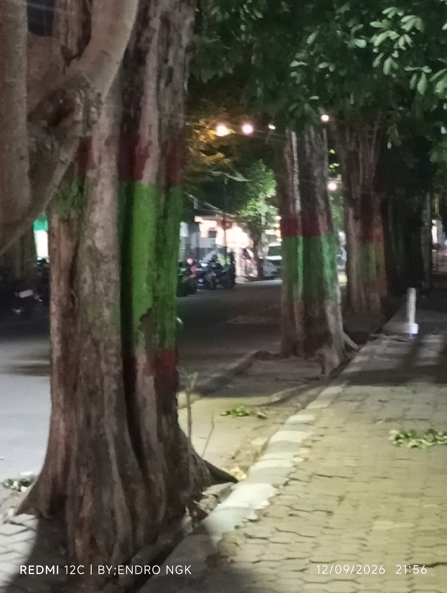 The image captures a street scene at night in Nganjuk, Indonesia. In the foreground, a large tree trunk is prominently featured, with distinct bands of red and green paint encircling it. To the right of the tree, a paved sidewalk is visible, lined with a stone curb. Beyond the trees, a street stretches into the distance, with parked motorcycles and a few indistinct vehicles. The lighting suggests artificial illumination, possibly from streetlights or nearby buildings, casting a warm glow on the scene. The overall atmosphere is that of a quiet urban environment after dark. The bottom of the image contains a watermark with the text "REDMI 12C | BY;ENDRO NGK" and a date and time stamp "12/09/2026 21:56".