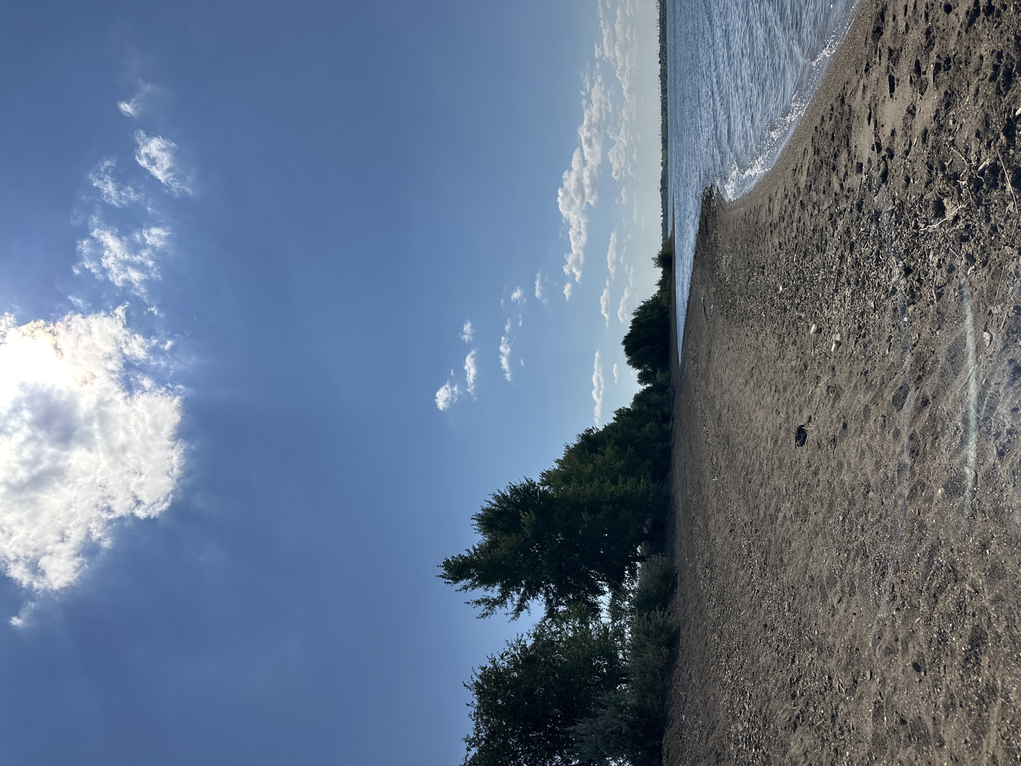 This is a vertical, eye-level, outdoor shot of a natural landscape on a sunny day. The foreground is dominated by a dark, sandy beach strewn with small stones and debris. The beach curves gently towards the right of the frame, meeting the calm, blue water of a large body of water. The water reflects the bright sunlight, creating a shimmering effect. The middle ground features a line of green trees and bushes running along the edge of the beach, creating a natural barrier between the land and the water. The background is a clear blue sky with scattered white clouds. The sun is visible in the upper left portion of the sky, casting rays through the clouds. The scene depicts a peaceful, natural environment, likely a shoreline. No people or animals are visible in the image. The location is identified as Gornyi Erik, Russia.