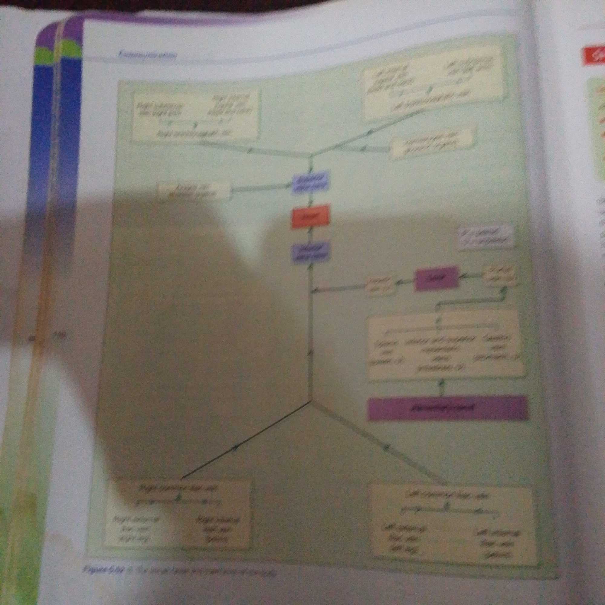The image is a photograph of a page from a textbook. The page contains a diagram illustrating a process with text boxes and arrows. The diagram appears to be a flowchart or organizational chart, possibly related to biology or medicine. Text is present in various boxes, some colored purple and one red. The diagram is centered on the page, with the page itself taking up most of the frame. The background is slightly blurred, suggesting the focus is on the textbook page. There is no information within the image that relates to the city of Jalingo, Nigeria.