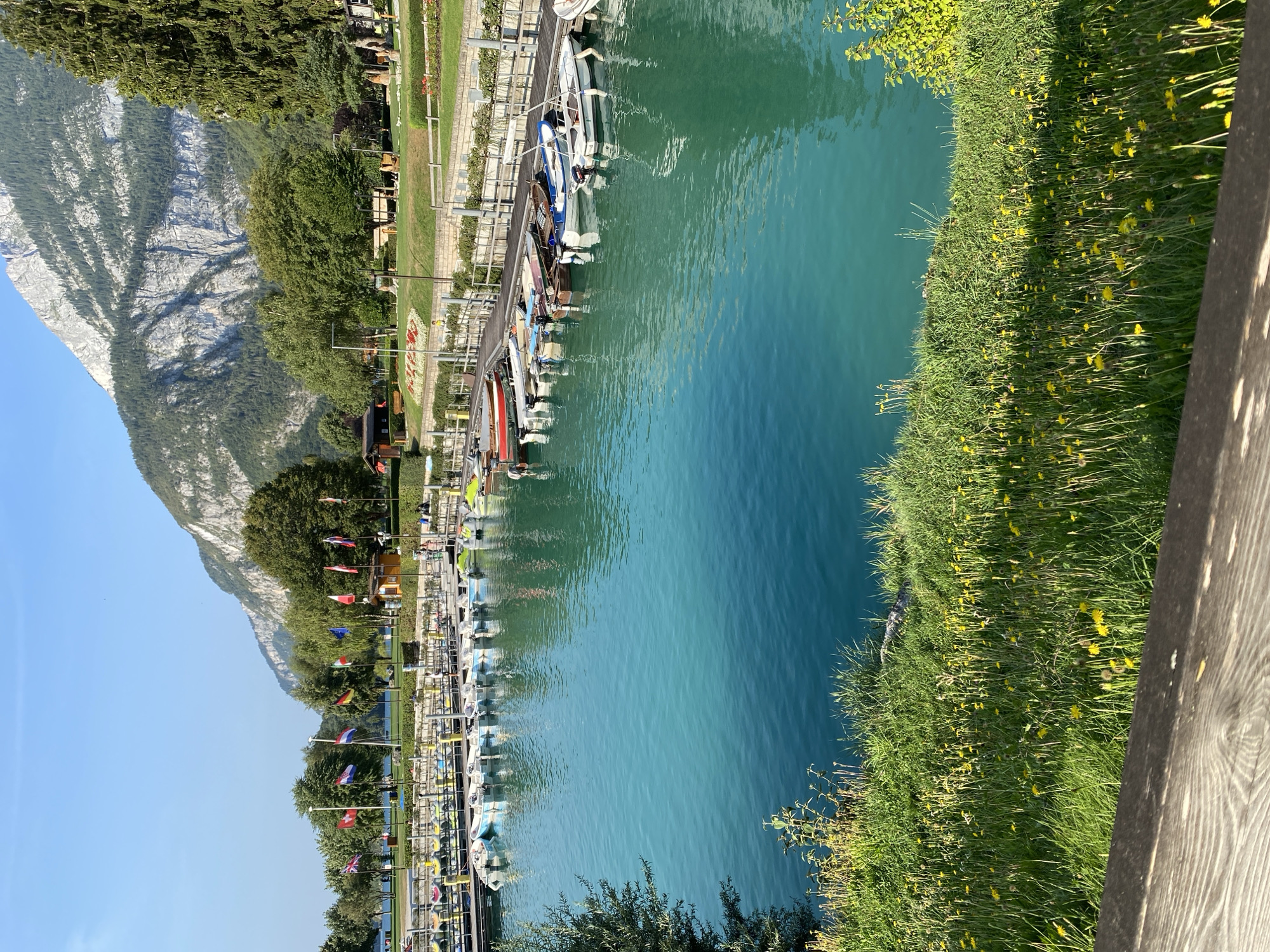 The image captures a picturesque scene in Molveno, Italy, showcasing a marina filled with numerous small boats docked along a wooden pier. The water is a striking turquoise color, reflecting the clear blue sky. In the background, lush green trees and a majestic mountain range form a dramatic backdrop, with the mountain slopes partially covered in dense forest. A grassy embankment with yellow wildflowers lines the foreground, leading up to the pier. Several national flags are visible, fluttering in the breeze from poles along the edge of the marina. People are scattered throughout the scene, some walking along the pier, others near boats, and a few enjoying the grassy area. Small buildings, possibly shops or cafes, are situated behind the pier, integrated into the landscaped park area. The overall atmosphere is tranquil and scenic, highlighting the natural beauty and recreational activities available at this lakeside location.