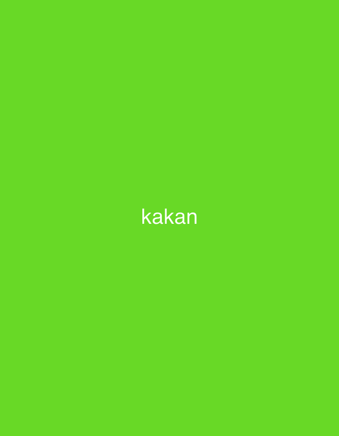 The image displays the word "kakan" in a light grey or white sans-serif font, centrally placed against a vibrant, solid lime green background. There are no other subjects, objects, or discernible scene elements present. No activity or event is taking place. The image is a simple graphic, devoid of specific location cues, weather conditions, time of day, or emotional indicators. While the provided context suggests Ihtiman, Bulgaria, the visual content of the image itself does not offer any supporting details for this location.