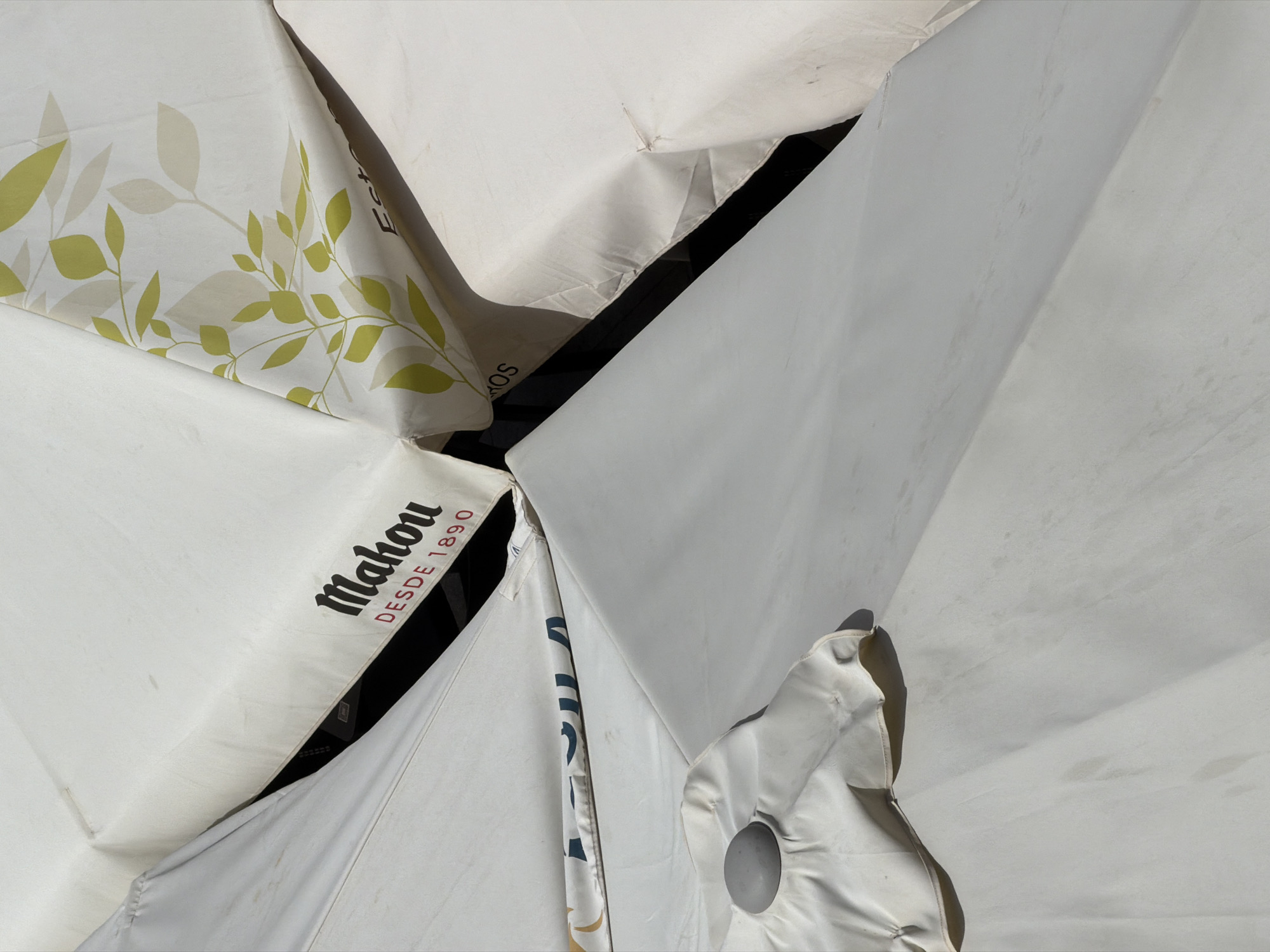 The image displays several white outdoor umbrellas, some with printed designs, gathered closely together. One umbrella features the "Mahou" logo with "DESDE 1890" printed below it in red. Another umbrella has a subtle green leaf pattern. A portion of a third umbrella shows a blue and gold emblem with text that is partially obscured. The umbrellas are positioned at an angle, creating a layered effect. The scene appears to be outdoors, possibly in a seating area of a restaurant or cafe. The lighting suggests it is daytime. The specific location within Las Rozas de Madrid, Spain, cannot be determined from the visual information alone.