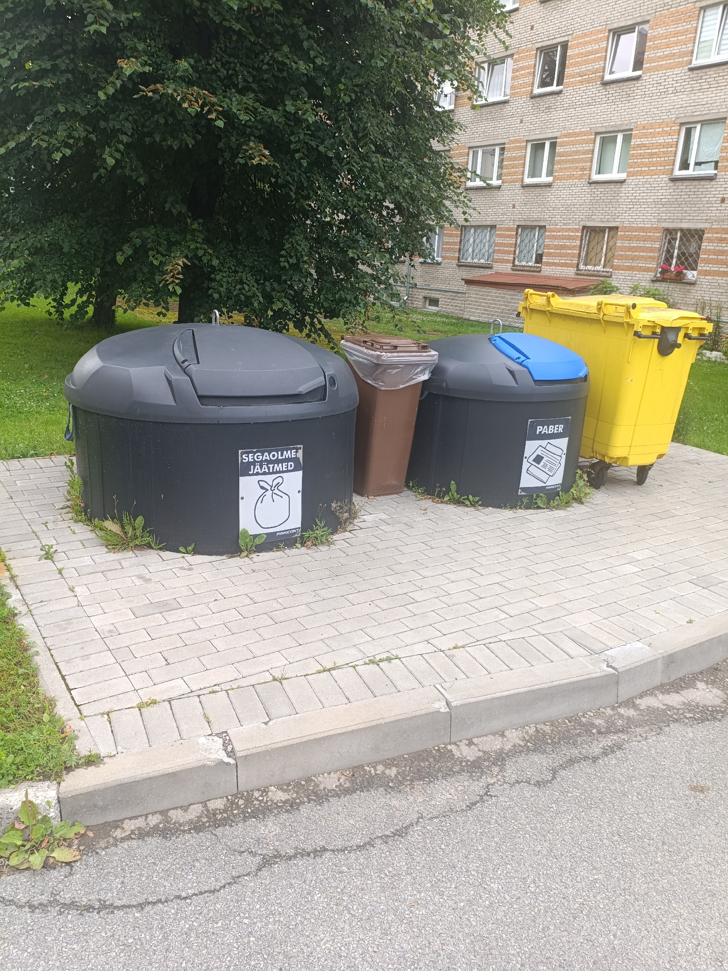 An outdoor scene in Narva, Estonia, features a collection of recycling bins on a paved area adjacent to a grass lawn and a brick apartment building. The primary subjects are four large recycling bins: a dark grey, lidded bin with a sign indicating "SEGAOLME JÄÄTUMED" (mixed waste), a brown lidded bin, a dark grey bin with a blue lid labeled "PABER" (paper), and a large yellow bin. The apartment building behind the bins has multiple windows and is constructed with light-colored bricks and horizontal orange stripes. The ground is covered with grey interlocking pavers, and there is a concrete curb separating it from a cracked asphalt surface. Green grass and weeds grow around the bases of the bins and along the edge of the paved area. The image appears to have been taken during daylight, with the sky not visible due to the overhang of trees in the upper left portion of the frame.