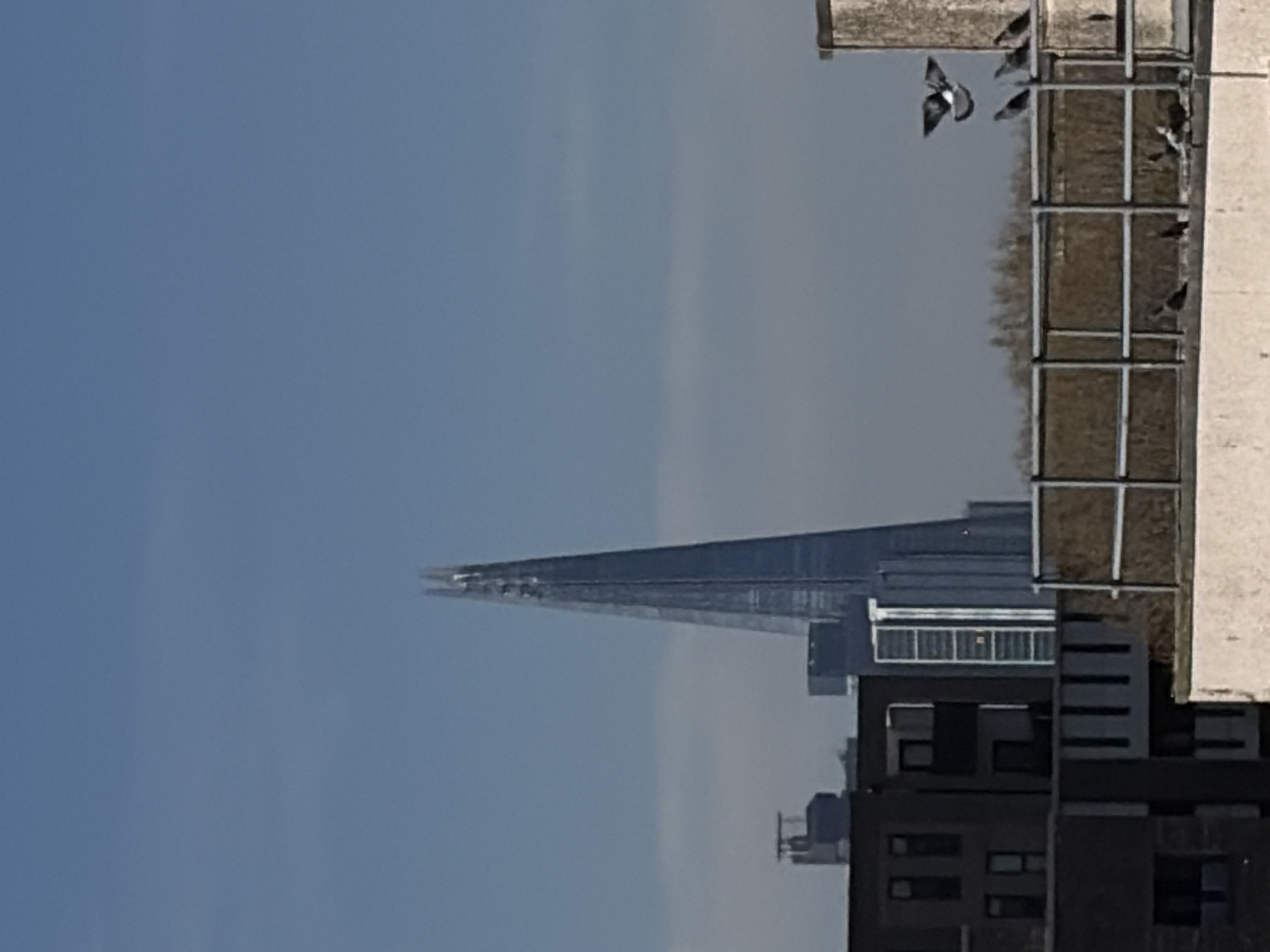 The image depicts the Shard skyscraper in London against a blue sky. In the foreground, a building with a rusty metal railing is visible, with several pigeons perched on it. The composition suggests the photograph was taken from another building.