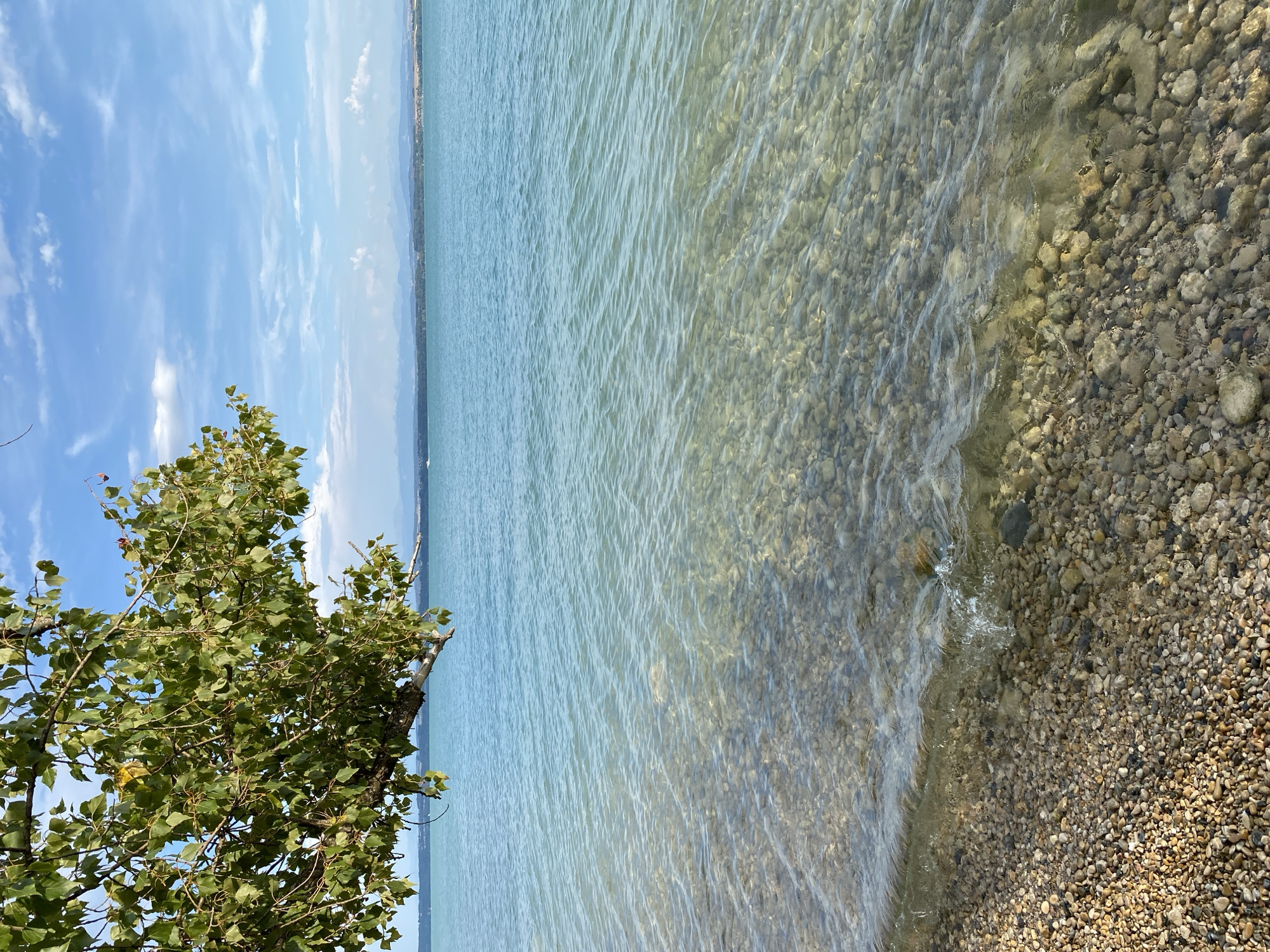 A photograph of a lakeside scene in Cortaillod, Switzerland, under a partly cloudy blue sky. In the foreground, a tree branch with green leaves extends from the upper left corner, overhanging the clear, shallow water. The water's surface is calm with gentle ripples, revealing a bottom covered in smooth, multi-colored pebbles. The shoreline is also made up of these pebbles. In the mid-ground, the turquoise water extends to a distant horizon where a faint, darker landmass is visible, dotted with a few buildings and possibly some trees. Beyond this landmass, hazy mountains form the backdrop. The distant water appears a slightly darker shade of blue, and a small white boat is visible on the water near the horizon.