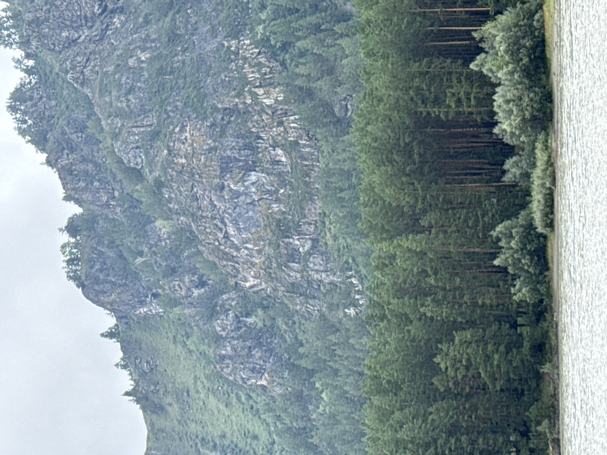 This is a photograph of a mountainous landscape with a river in the foreground, taken in Nizhnekayancha, Russia. The river's surface is rippled, suggesting movement. Along the riverbank, a dense forest of evergreen trees dominates the middle ground. Beyond the forest, the mountains rise steeply, their rocky faces partially covered by vegetation. The sky above is overcast, creating a diffused light across the scene. There are no people or man-made structures visible in the image.