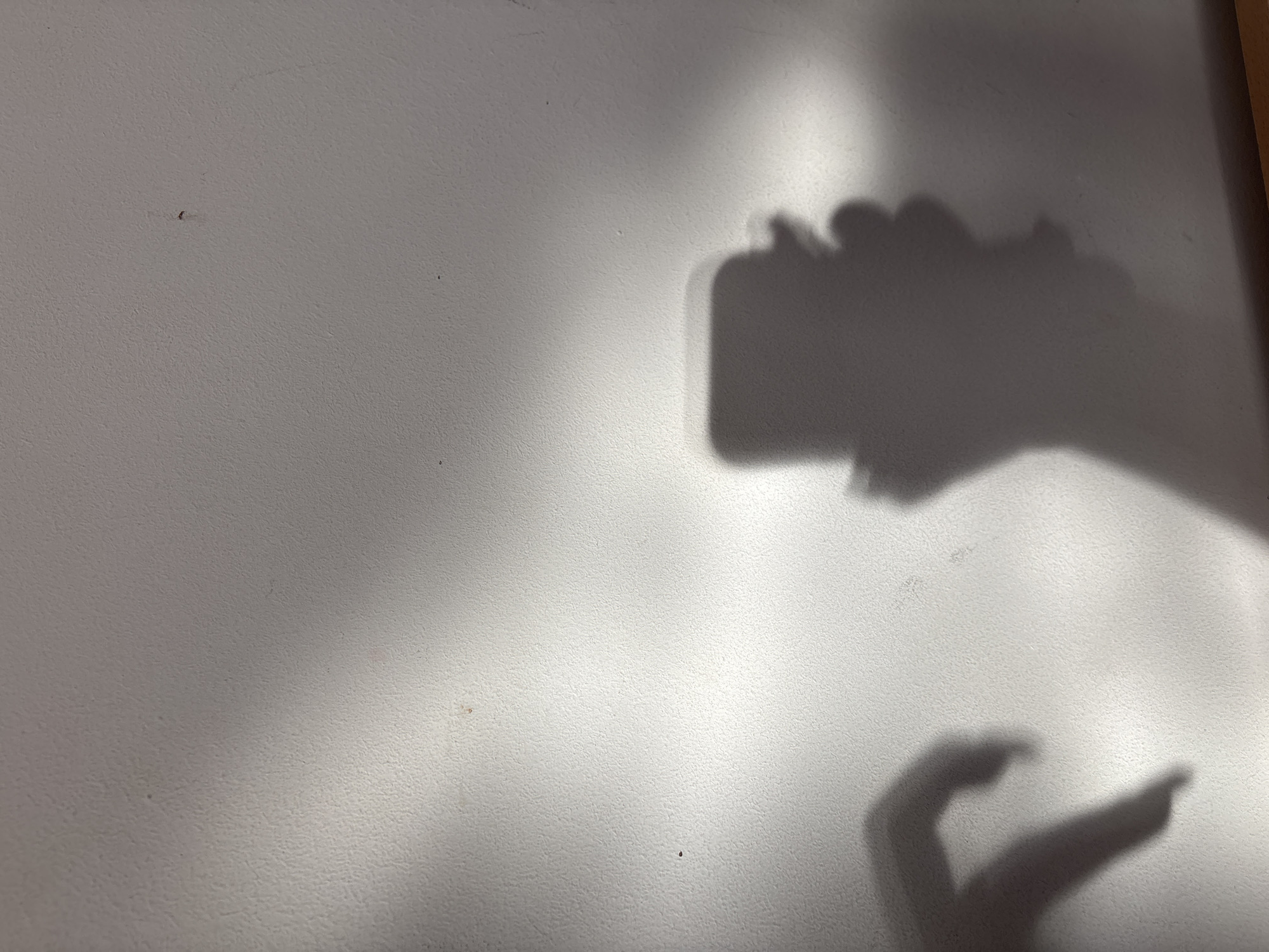 The image shows a shadow of a hand holding a phone, projected onto a light-colored wall. The shadow also includes the form of two fingers extended in a pointing gesture. The background wall appears to be lightly textured. The image was likely taken indoors. The location in the city of Troyan, Bulgaria cannot be confirmed from the provided visual information.