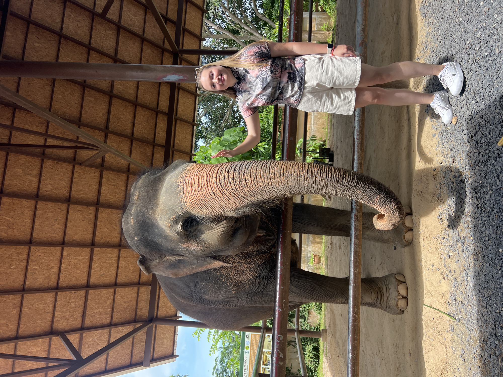 The image depicts a young woman standing next to an elephant under a wooden roofed shelter in Baan Thurian, Thailand. The woman, with blonde hair and wearing sunglasses on her head, is dressed in a patterned pink shirt and cream-colored shorts. She is smiling and has her left hand raised, touching the elephant's trunk. The elephant is a large, grey Asian elephant with wrinkled skin and a long trunk. It is partially obscured by a metal railing. The ground is a mix of sand and gravel, and trees and foliage are visible in the background. A sign is also present on the left side of the image, partially obscured.