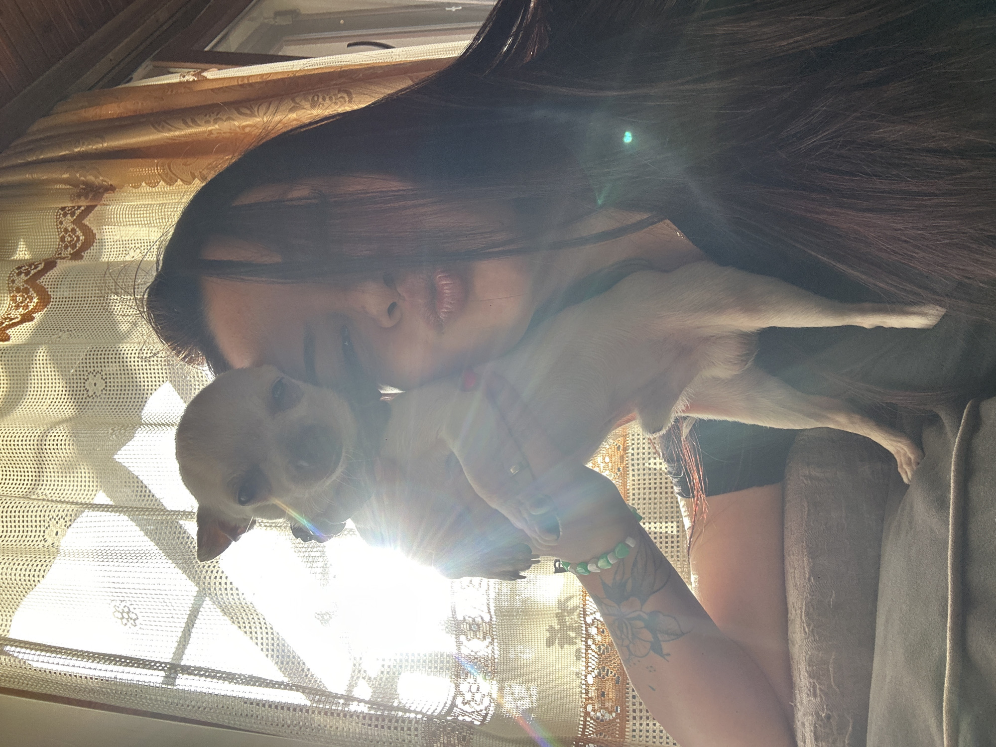 A person with long, dark hair is holding a small, light-colored chihuahua dog in their arms. The person appears to be kissing the dog's head. The person has a tattoo on their arm and is wearing a bracelet. The background features a window with lace curtains, suggesting an indoor setting. The lighting is bright and somewhat diffused, creating a soft glow. The location, Skala, Bulgaria, cannot be determined from this image.