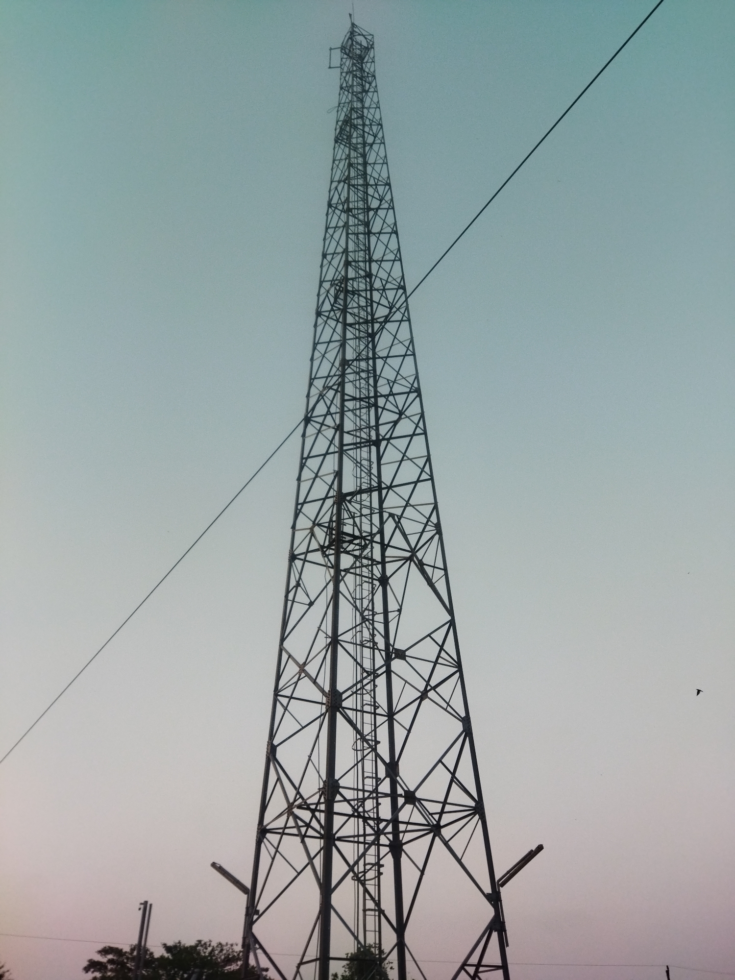 A tall, lattice-style transmission tower dominates the frame, stretching upwards against a pale, overcast sky. The tower is constructed from dark metal beams forming a complex geometric pattern. Two wires extend from the tower, one diagonally across the upper portion of the sky and another lower and to the left. At the base of the tower, the tops of dark green trees are visible. In the distance, two slender poles with horizontal attachments stand to the left of the tower. A small, dark bird is in flight in the upper right quadrant of the image. The overall impression is of a solitary, imposing structure in an open, possibly rural, or semi-urban environment. The image does not contain any specific landmarks or details that would allow for precise identification of its location within Semarang, Indonesia.