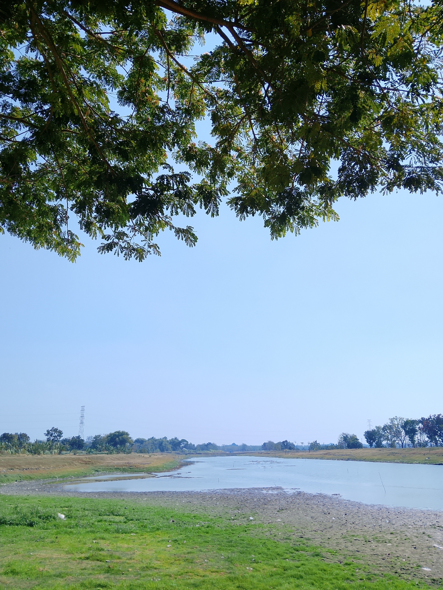 An overhead view of a tranquil river scene in Ngadrin, Indonesia, is presented. The foreground is dominated by lush green grass that transitions into a muddy bank leading to the river. The river itself appears calm, with a light blue hue reflecting the clear sky. In the distance, a line of trees marks the horizon, interspersed with a tall electrical pylon, suggesting the proximity of a more developed area. The upper portion of the image is framed by the branches and green leaves of a large tree, casting a natural canopy over the scene. The overall impression is one of natural beauty and serenity.