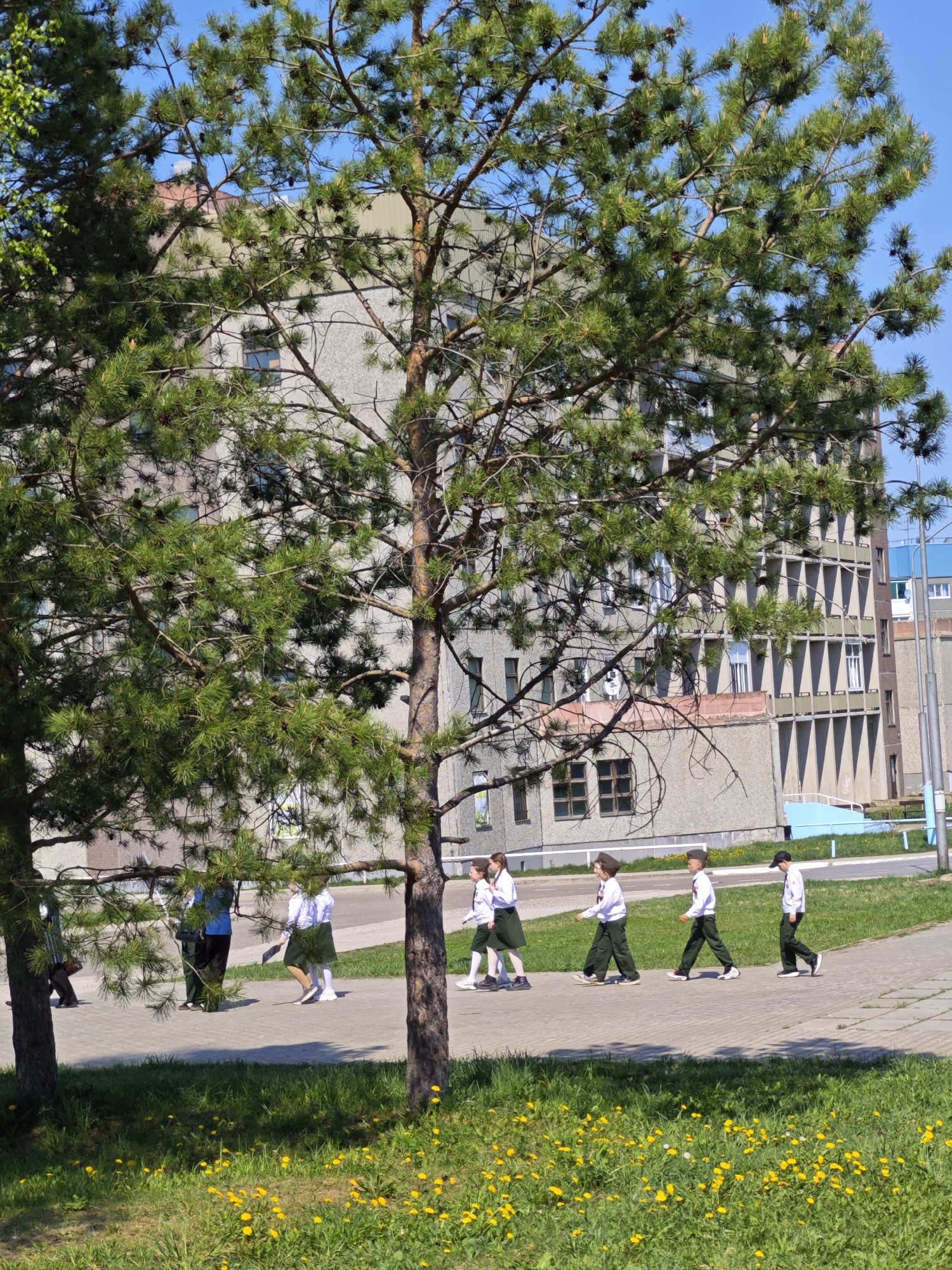 In the town of Марковский, Russia, a group of uniformed children are walking on a concrete sidewalk past a building with many windows. They are wearing white shirts and dark green pants or skirts, with some wearing caps. Two trees frame the view of the children and the building. The ground is covered with grass and yellow flowers.