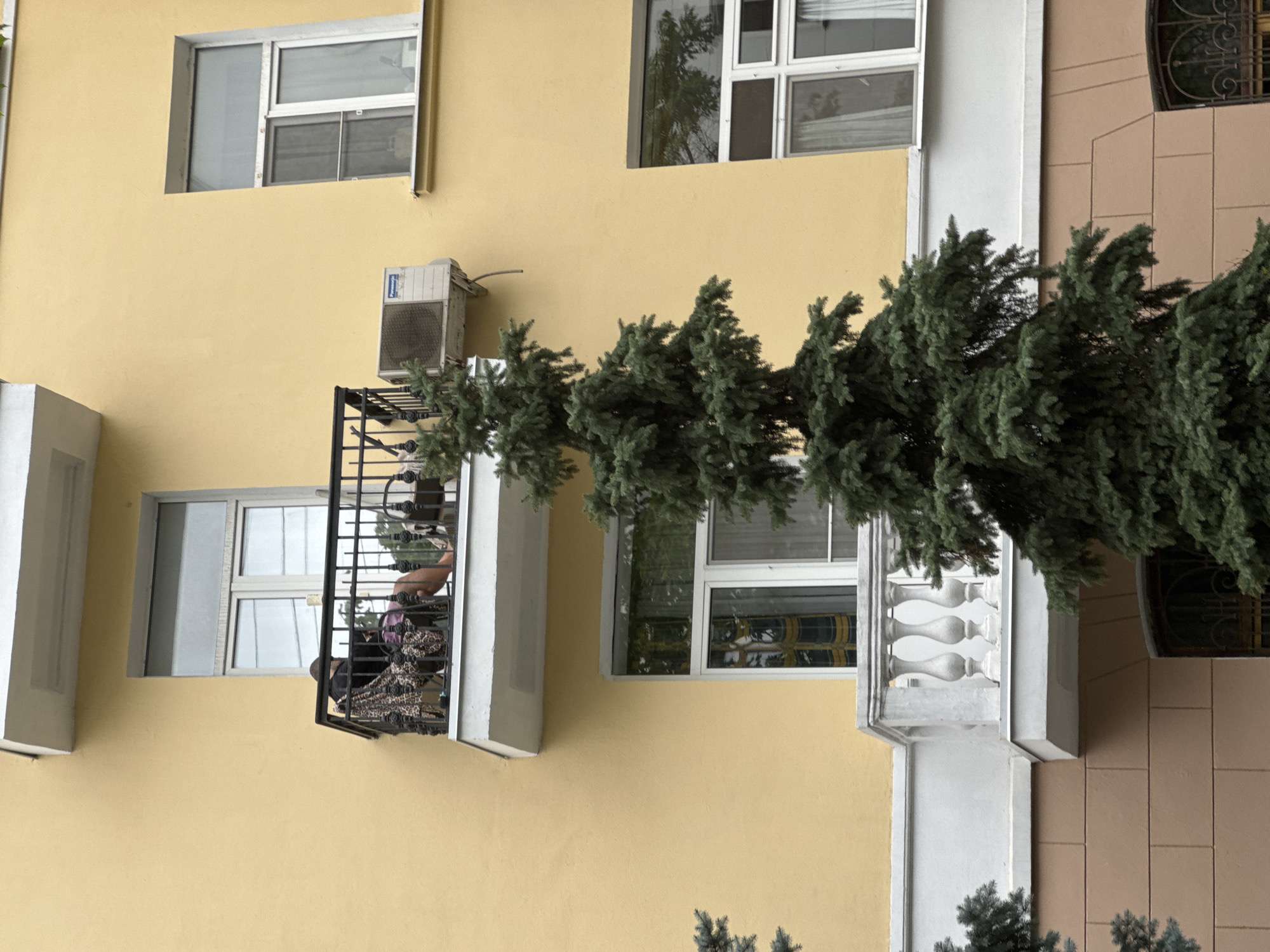 This image depicts a person sitting on a balcony of a yellow apartment building in Moscow, Russia. The person is facing away from the camera, with their back to the viewer, and appears to be looking down. They are seated in a chair, partially covered by a leopard-print blanket. A pink object, possibly a backpack or bag, is visible next to them. The balcony railing is made of black metal. An air conditioning unit is mounted on the wall of the building next to the balcony. A large evergreen tree is positioned in front of the building, partially obscuring the view of the lower floors. Several windows are visible on the building's facade. The building's lower section is a contrasting brown color with large rectangular blocks.