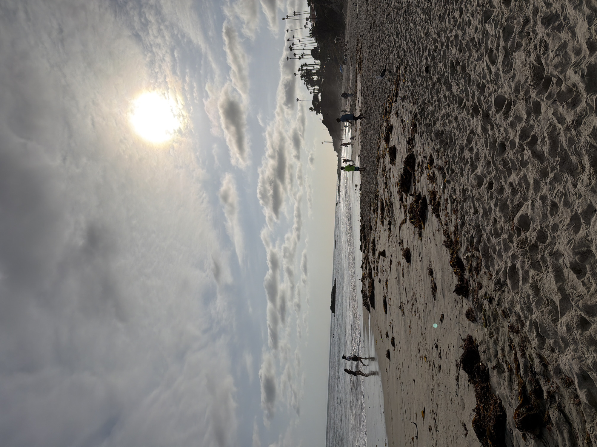 This is a full shot of a beach in Laguna Beach, California, USA. The sun is high in the sky, partially obscured by clouds, casting a bright light on the scene. The sand is light brown and appears dry, with some patches of seaweed scattered across it. In the distance, the ocean waves gently break on the shore. Several people are visible on the beach, some walking along the water's edge and others further up on the sand. A rocky outcropping is visible in the ocean, and a line of palm trees and homes can be seen on the bluff overlooking the beach. The overall impression is a pleasant, sunny day at the beach.