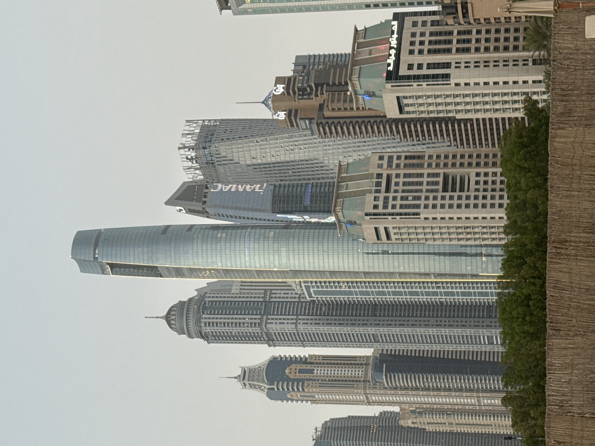 This is an eye-level, medium shot of the Dubai Marina skyline. A dense cluster of modern skyscrapers, characterized by their glass facades and varied architectural styles, dominates the background. The sky is overcast and pale, providing a neutral backdrop that emphasizes the buildings. In the foreground, a thick line of lush green trees stretches across the frame, obscuring the lower portions of the buildings. Below the trees, a woven wooden fence runs horizontally, adding a rustic texture to the scene. The overall impression is one of urban density contrasted with natural elements, typical of a coastal city like Dubai.