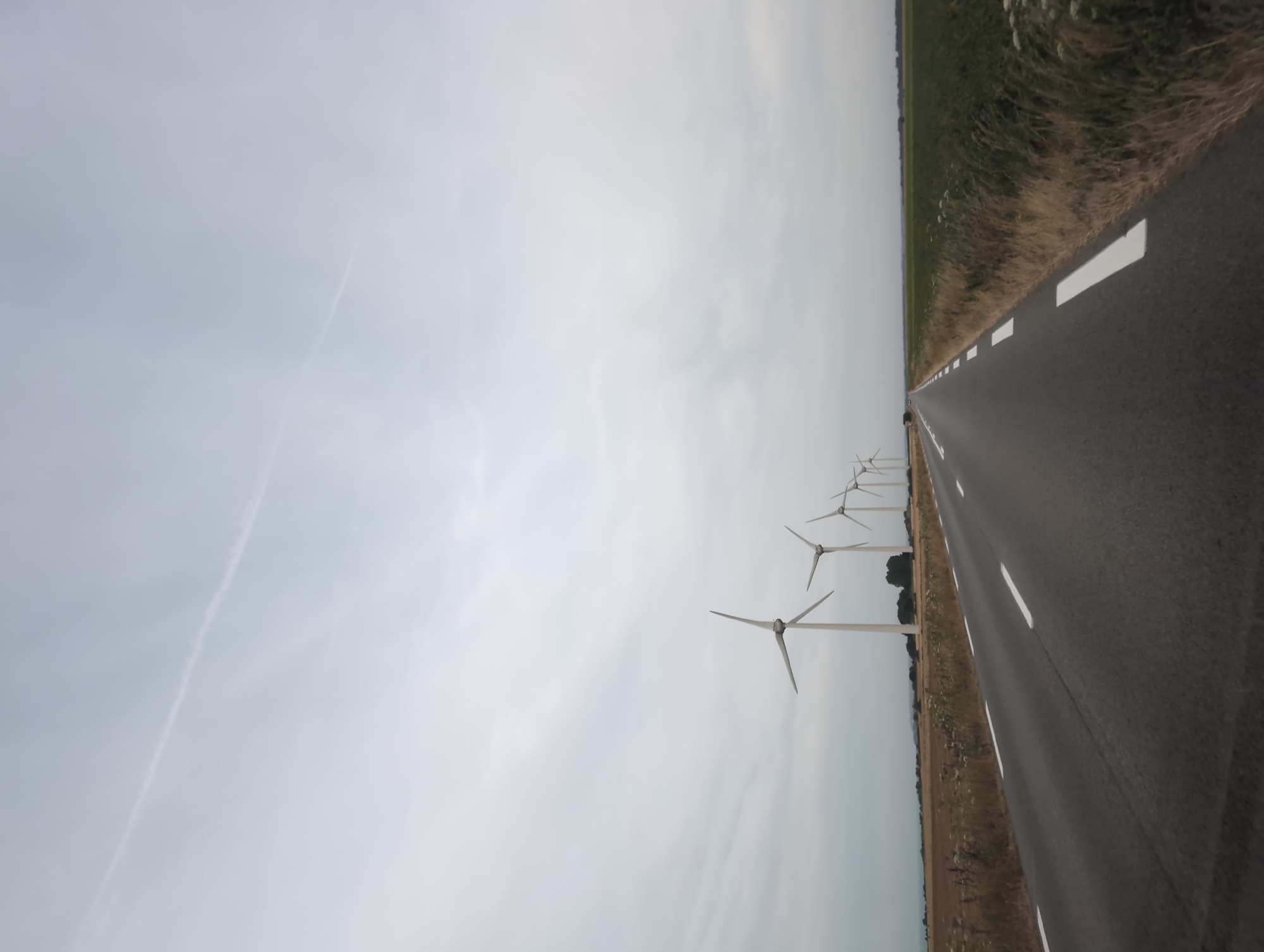 An overcast day features a paved road with white lane markings leading into the distance. On the left side of the road, a row of five wind turbines stands in a field of dry vegetation. Further in the distance, a treeline separates the field from the sea. The right side of the road is bordered by a field of green crops. The sky is a uniform grey with a faint contrail visible. The scene appears to be located in Manneville-ès-Plains, France. There are no people or animals visible.