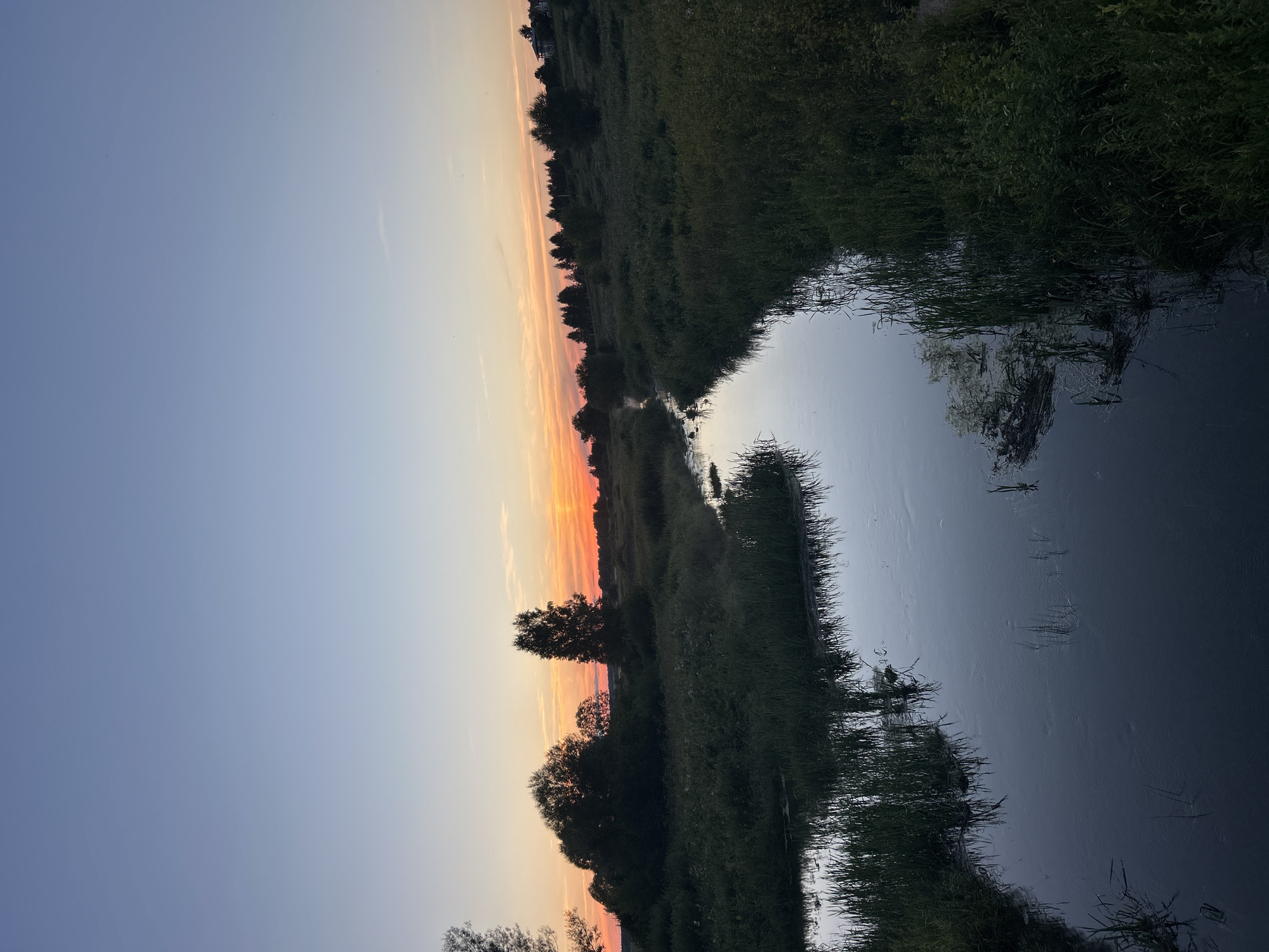 The image depicts a serene landscape at dusk, likely in the vicinity of Kalitsino, Russia, characterized by a winding river flowing through a verdant meadow. The sky transitions from a soft, clear blue at the zenith to hues of orange and pink near the horizon, indicative of a sunset. The river, reflecting the muted colors of the sky and the surrounding vegetation, appears calm and still. Tall grasses and various types of foliage line the banks of the river, creating a dense, natural border. In the background, silhouetted trees and a distant cluster of buildings suggest a rural or semi-rural setting. The overall atmosphere is one of tranquility and natural beauty, with the fading light casting long shadows and enhancing the peaceful ambiance of the scene.