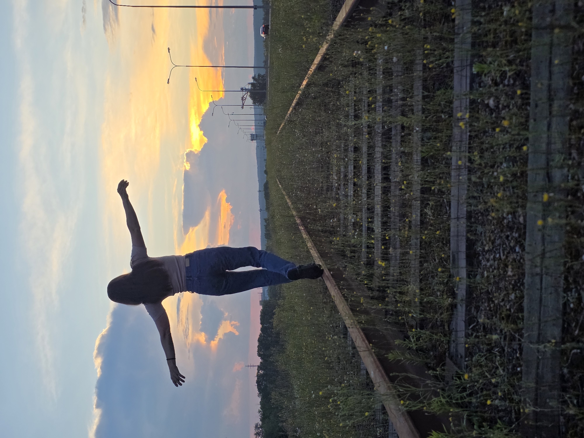 A person is silhouetted against a sunset sky while walking along a single railway track overgrown with weeds. The person is wearing jeans and a t-shirt, with arms outstretched for balance. In the background, streetlights and a highway can be seen, suggesting an urban or suburban location. The railway track is in disrepair, with weeds and small yellow flowers growing between the sleepers. The sky is filled with dramatic clouds, illuminated by the setting sun in shades of orange, yellow, and pink. The overall impression is one of a peaceful, yet slightly melancholic scene, at the edge of the city.