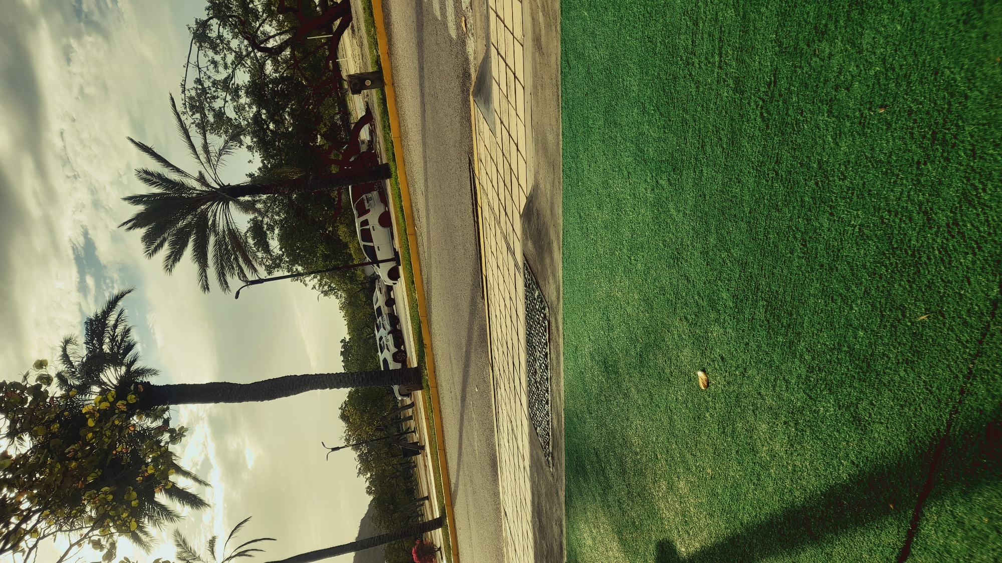 The image depicts an outdoor scene with a clear division between the upper and lower halves. The upper portion features a cloudy sky and a view of a street with parked cars and palm trees. Specifically, there are several white cars parked along the side of the asphalt road, which is bordered by a yellow line. In the background, lush green trees and foliage are visible, with mountains faintly discernible in the distance. The lower half of the image is dominated by a vibrant green artificial turf surface, with a visible shadow cast across it from the left side. A small, light-colored object, possibly a leaf or a piece of debris, rests on the turf in the center of the frame. The setting appears to be a park or recreational area within the city of Pedro González, Venezuela, characterized by its tropical vegetation and urban infrastructure.