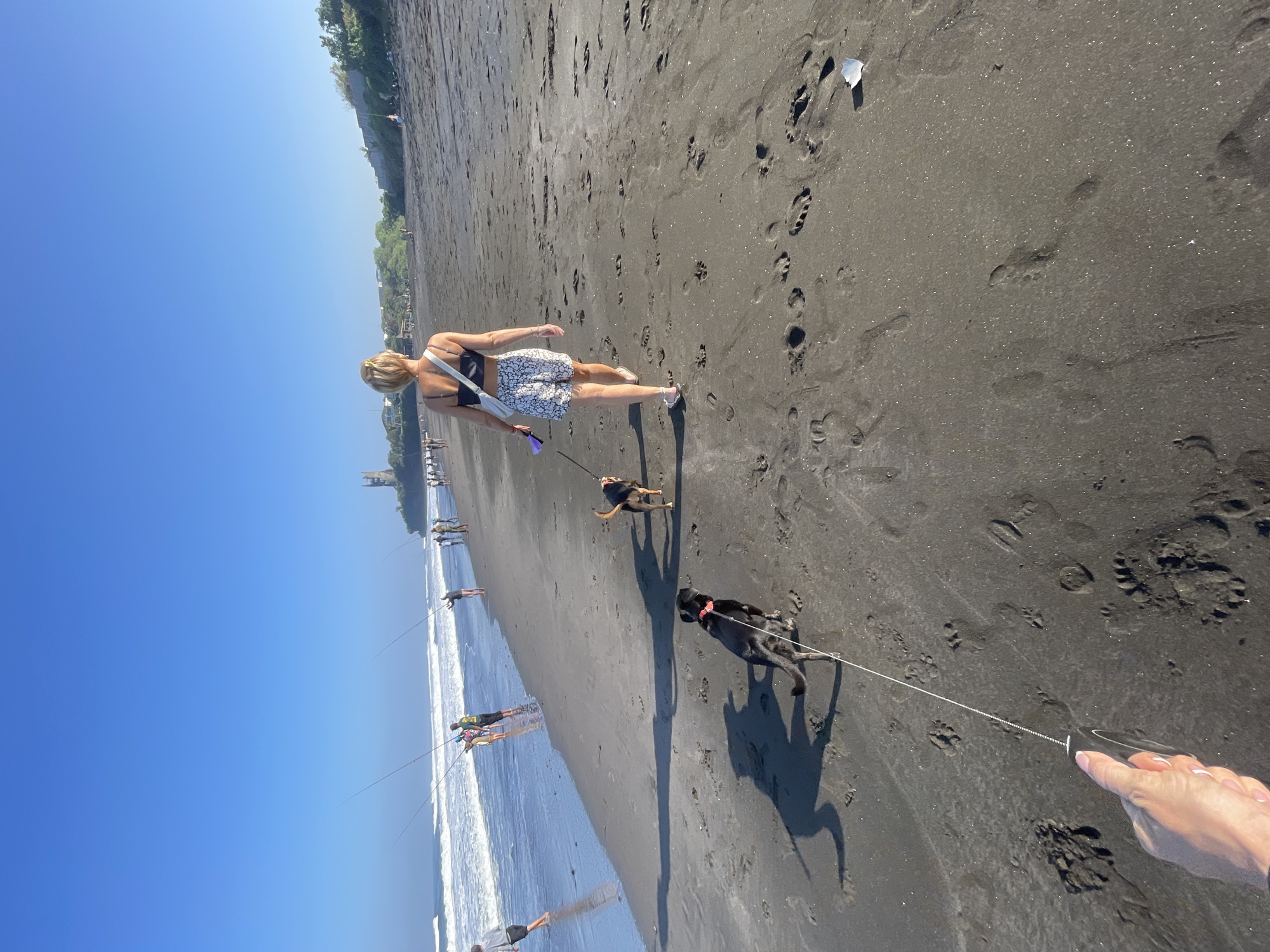 A woman with blonde hair walks on a black sand beach, holding leashes for two dogs. The dog in the foreground is black, and the dog behind it is brown and black. The woman wears a black bikini top and patterned shorts. In the background, several people are fishing with long poles at the edge of the ocean. The sky is clear and blue, and a castle-like structure is visible on a cliff in the distance. The scene depicts a leisurely day at the beach with pets and recreational activities. The location is described as the city of Kediri, Indonesia.