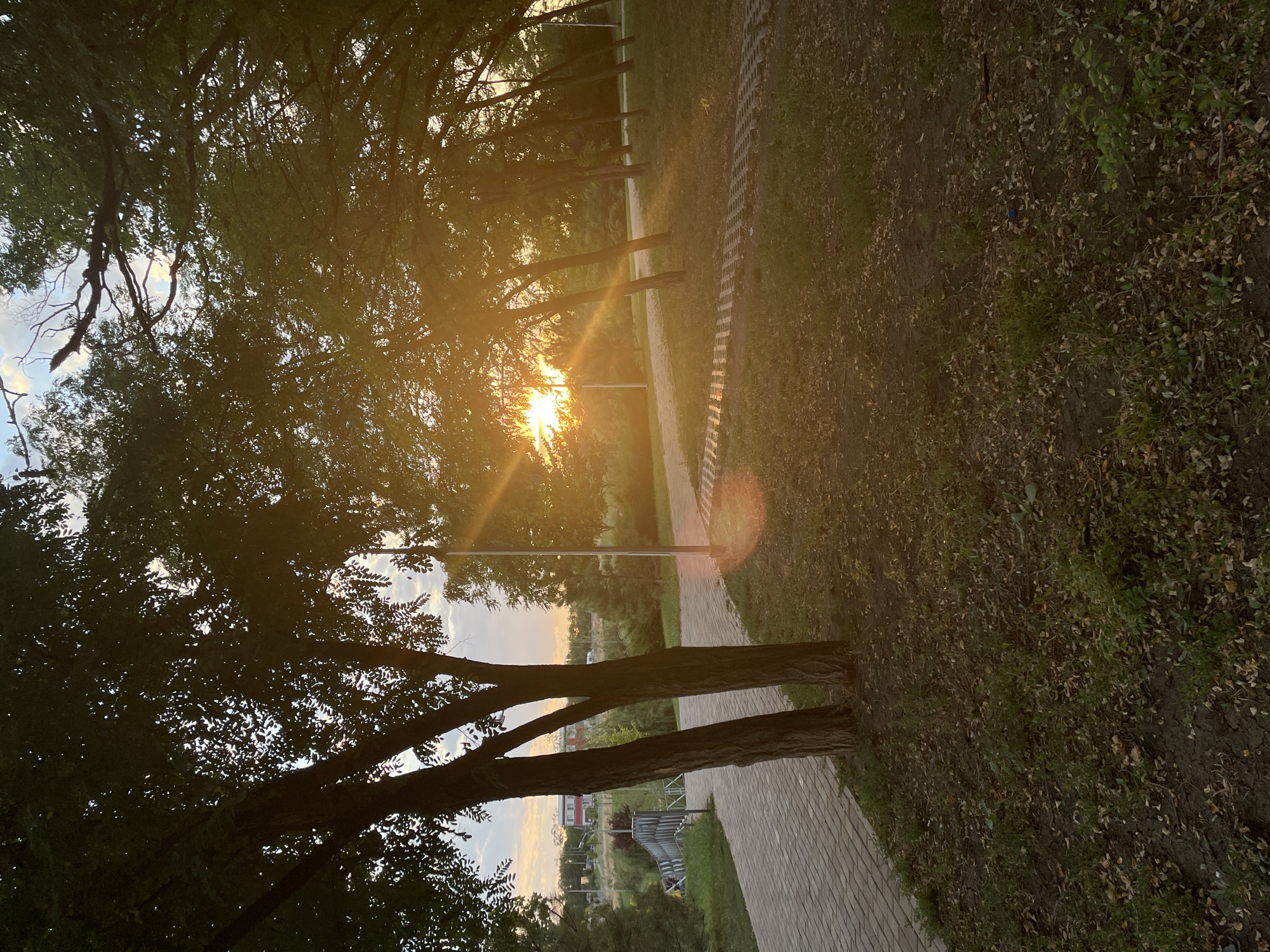 The image depicts a park-like setting with a paved pathway winding through trees. The sun is setting, casting a warm, golden glow and creating lens flares. The pathway is bordered by grass and some dry leaves on the ground. In the background, there are buildings and more trees. The overall scene suggests a peaceful, natural environment within a city. The location has been identified as the park near the "Triumphal Arch" in Rostov-on-Don, Russia.