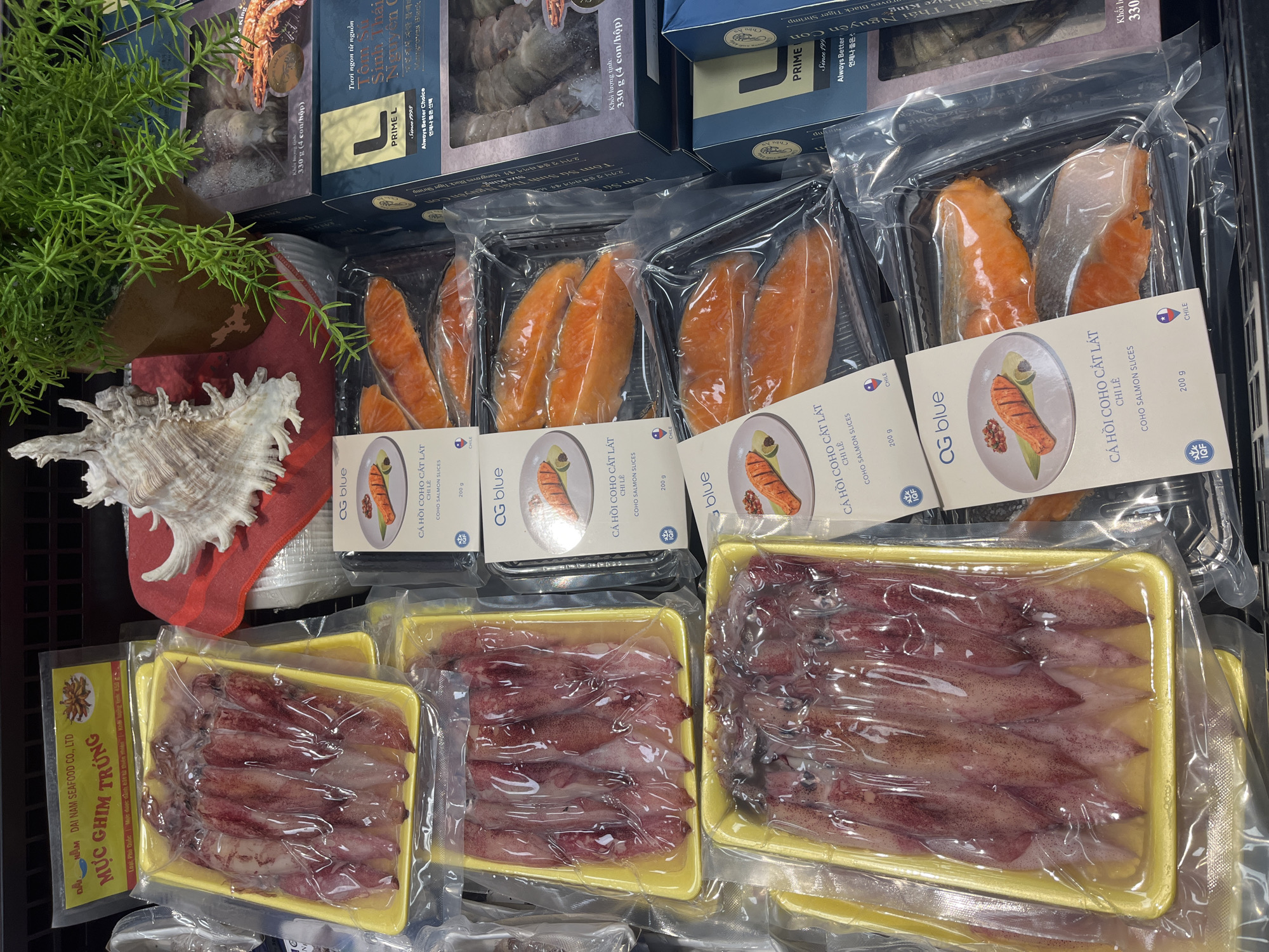 The image displays a retail display of seafood products, specifically squid and salmon, in a refrigerated section. The squid is packaged in yellow plastic trays, while the salmon is presented in black plastic containers with white labels. The labels on the salmon products indicate "OG BLUE COHO SALMON SLICES" and feature images of cooked salmon. There are also boxes of shrimp visible, one with text in Vietnamese. Decorative elements, including a seashell and a potted plant, are placed on the shelf. The overall environment suggests a food market or supermarket. The location of Nha Trang, Vietnam is not explicitly indicated in the visual information provided in the image.