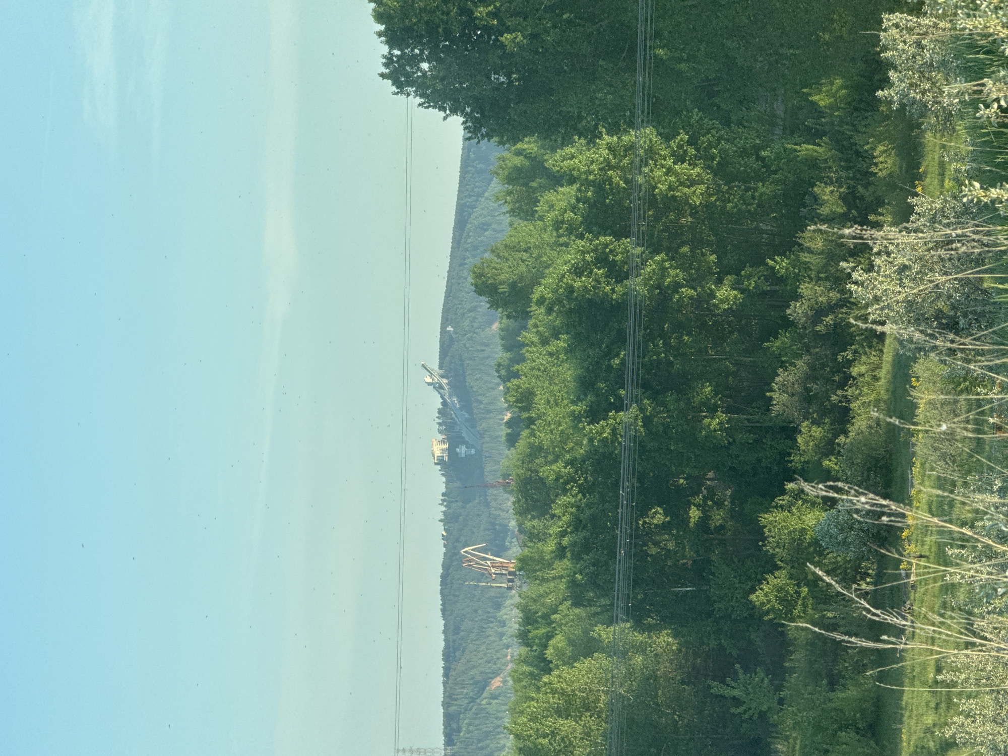 The image captures a daytime landscape in Noviy, Russia. A clear, light blue sky dominates the upper portion of the frame. Thin power lines run vertically along the left side. The right side shows a dense forest with green trees. A construction site with yellow cranes is visible in the distance, between the trees. The terrain appears hilly, with the forest covering the slopes. In the foreground on the right side are grassy areas and brush with some visible flowers.