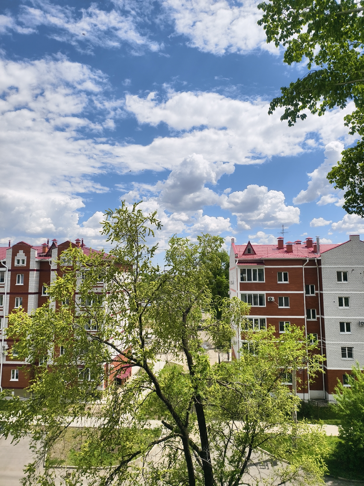 The image depicts a view in Belogorsk, Russia, featuring apartment buildings with red roofs and brick facades. Some sections of the buildings are painted white with brick accents. Lush green trees partially obscure the buildings, and a clear blue sky with fluffy white clouds forms the backdrop. Paved areas and grass patches are visible in the foreground, suggesting a residential neighborhood. No people are visible.