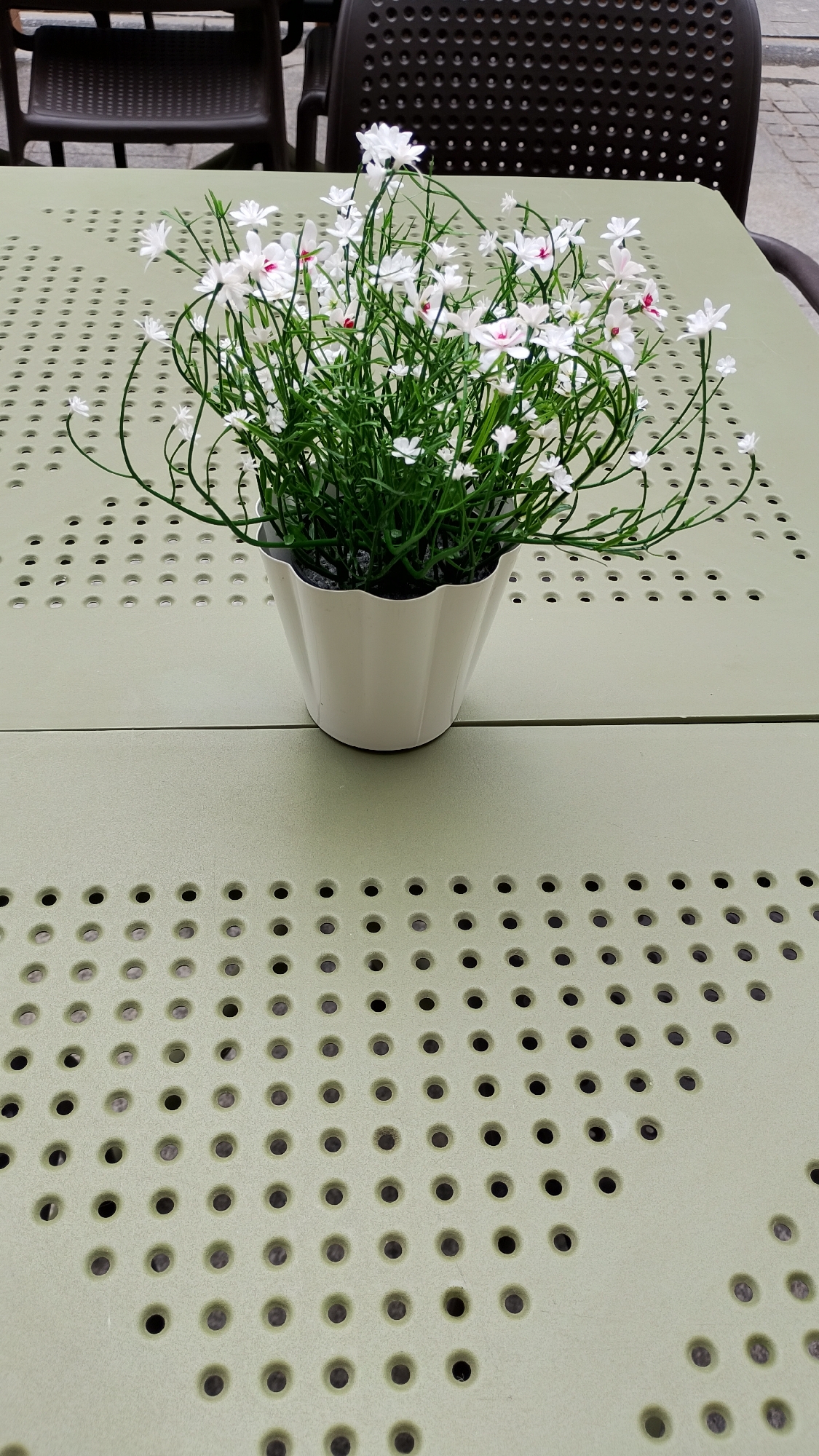 A potted plant with small white flowers sits on a perforated, light green table. The table is likely located outdoors, as suggested by the presence of plastic chairs with perforated backs in the background. The scene gives no direct indications of its location being in Łódź, Poland. The focus is clearly on the potted plant and the table surface.