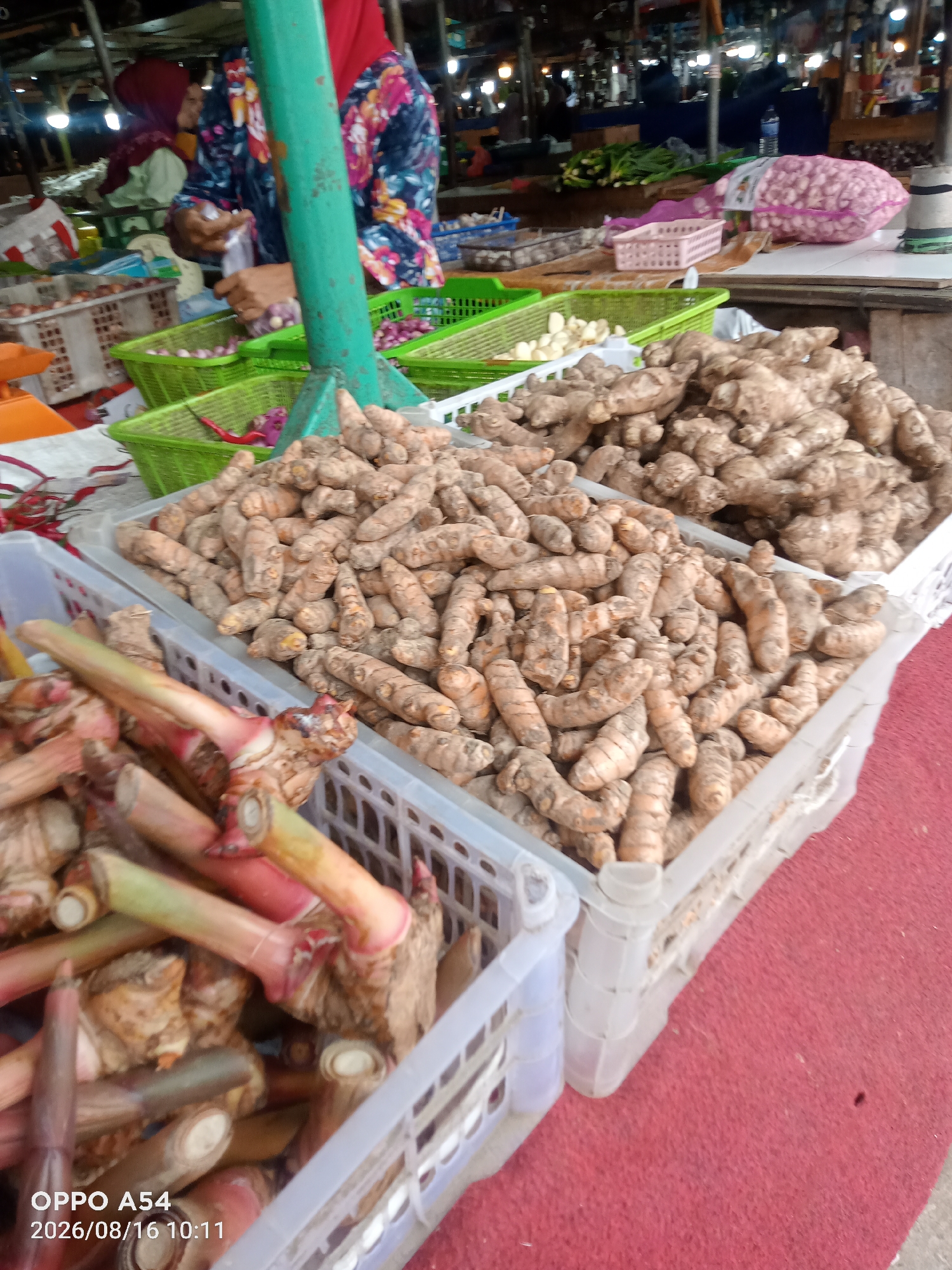 This is a photograph taken in a market stall in Jambi, Indonesia, on August 16, 2026, at 10:11 AM. The stall is filled with fresh produce, primarily root vegetables. In the foreground, there are two white plastic crates. The crate on the left contains light-colored root vegetables with reddish-pink stems, possibly galangal. The crate on the right is filled with numerous small, knobby, light brown root vegetables, likely turmeric. Behind these crates, more root vegetables are visible, with a larger pile of the knobby brown variety. In the mid-ground, there are green baskets containing red chili peppers and what appear to be onions or shallots. A woman wearing a red hijab and a colorful patterned shirt is partially visible in the background, seemingly engaged in selling produce. Other market stalls and a blurry crowd are visible further in the background, suggesting a busy market environment. The surface on which the crates rest appears to be a red carpet or mat.
