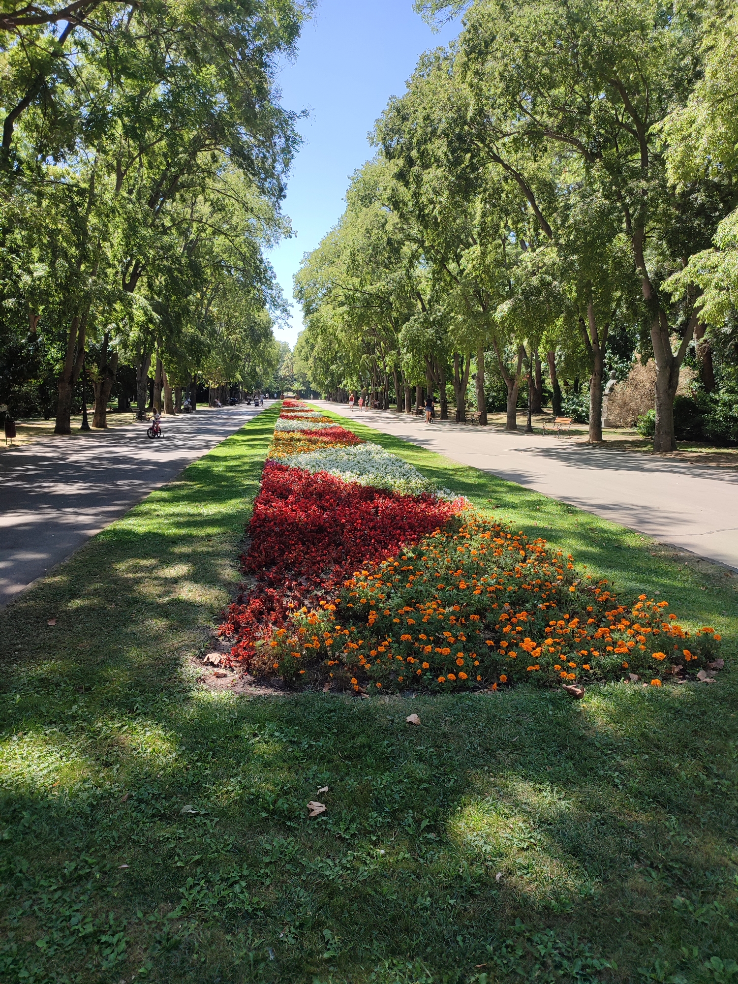 The image depicts a sunny day in a park, likely the Sea Garden in Varna, Bulgaria, characterized by a long, tree-lined promenade. A wide asphalt path runs parallel to a meticulously maintained flowerbed, which features rows of vibrant flowers in shades of orange, red, white, and possibly light pink or lavender. Tall, mature trees with lush green foliage line both sides of the path, casting dappled shadows on the ground. In the distance, several people can be seen strolling or cycling along the path, suggesting a leisurely atmosphere. The sky is a clear, bright blue. The foreground is dominated by a well-kept grassy area.