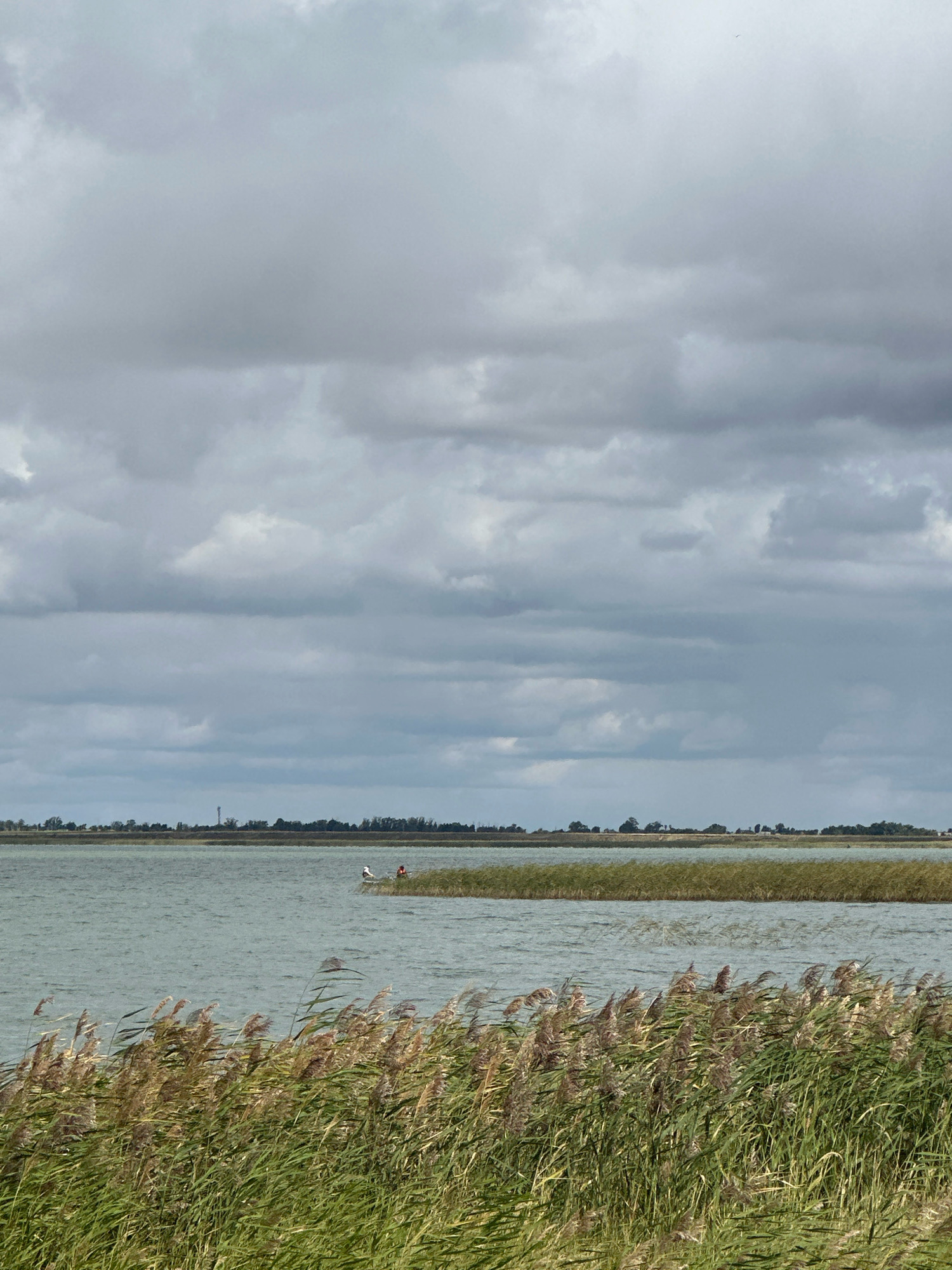 A wide shot captures a cloudy sky over a calm body of water in Tsabelivka, Kazakhstan. In the foreground, tall, green reeds with brown tops sway in the wind. The middle ground shows the rippling water with a narrow strip of reeds further out. On this strip, two figures are visible: one in white and another in red, seemingly engaged in an activity near the water's edge. The background features a low-lying horizon with a line of trees and a distant tower. The overall scene depicts a natural, tranquil environment under a heavy, overcast sky.