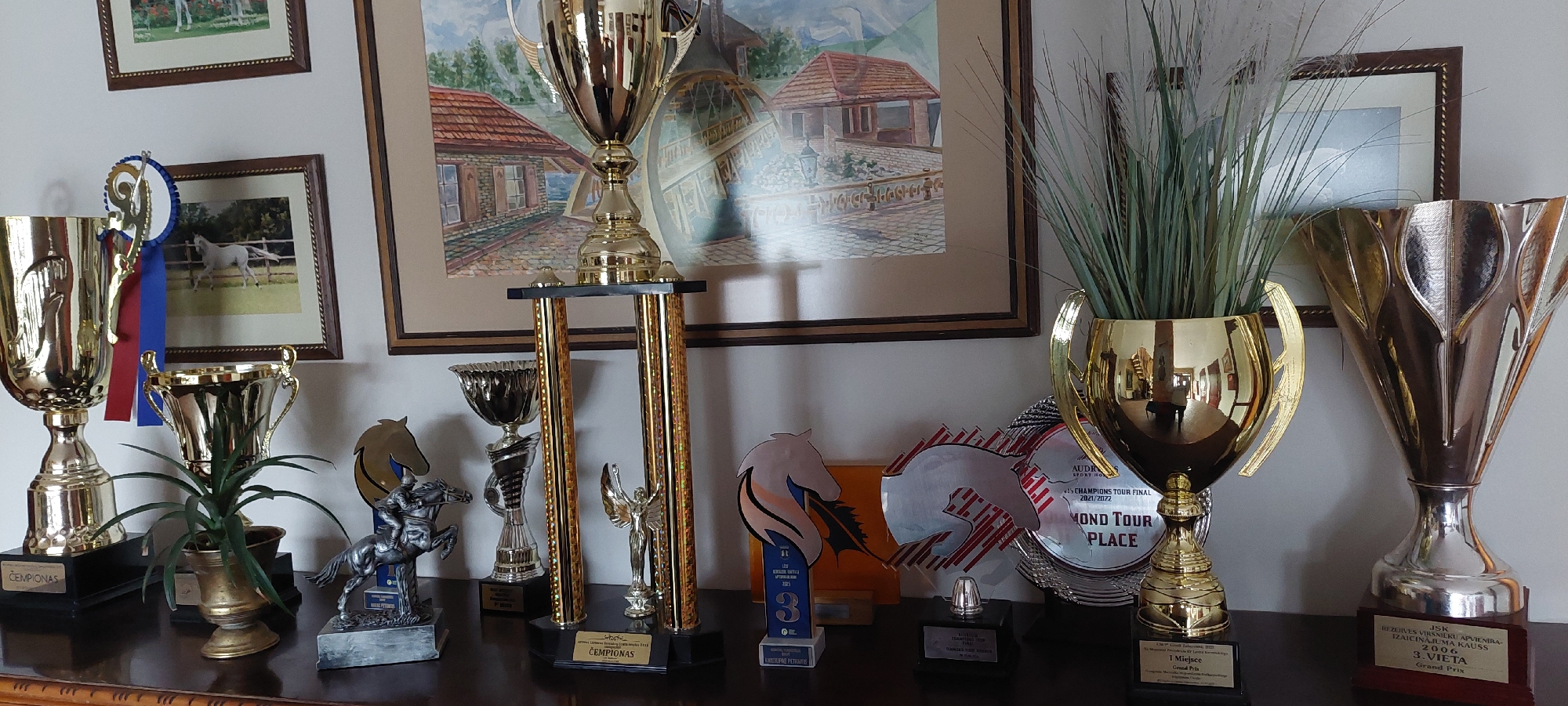 The image displays a collection of trophies and equestrian-themed awards displayed on a dark wooden surface, possibly a dresser or shelf, against a light-colored wall. In the background, framed artwork depicting rural scenes with buildings and a horse are visible.
The trophies vary in size and material, with many appearing to be gold or silver. Notable items include a large two-handled gold trophy holding a green plant, a tall tiered trophy with gold columns, a smaller silver trophy with a scalloped rim, and various other cup-shaped and plaque-style awards. Several awards are inscribed with text, some of which are partially visible and appear to be in Lithuanian. For example, one plaque at the base of a tall trophy reads "ČEMPIONAS". Other visible inscriptions include "1 Miejsce", "Grand Prix", and "2022".
There are also several decorative equestrian items, including a silver sculpture of a horse and rider, and stylized horse head cutouts. One prominent award features a horse silhouette with a feather design.
The overall impression is one of achievement and celebration, likely related to equestrian events. The presence of Lithuanian text on some awards suggests the location is within Lithuania. While the specific city of Ziniūnai is mentioned, there are no visual cues within the image itself that definitively confirm this precise location; however, the presence of Lithuanian language is consistent with the specified location. There are no people visible in the image. The lighting suggests an indoor environment, possibly a home or a dedicated display area.