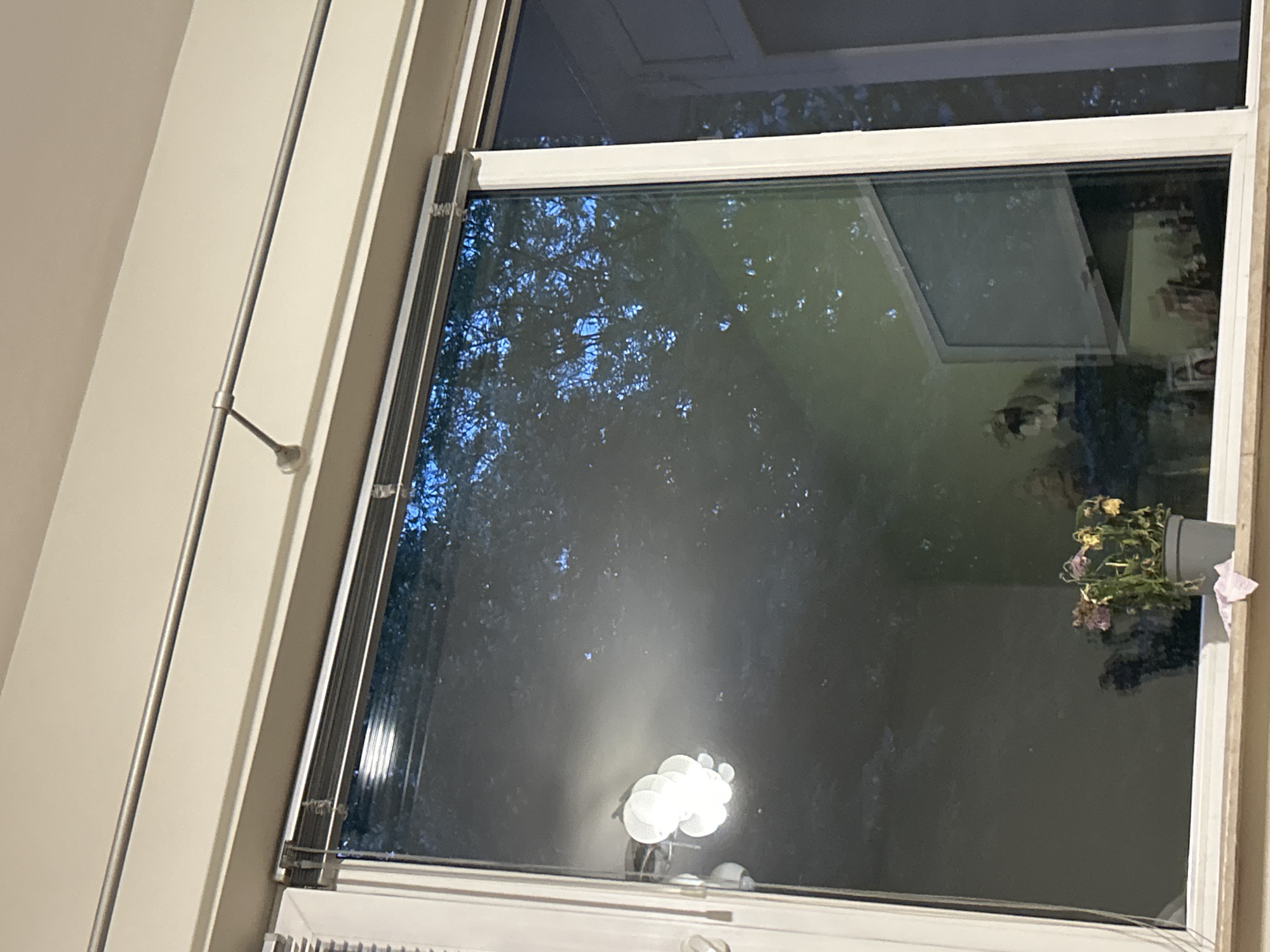 The image shows an interior view of a window. Outside the window, trees are visible in dim lighting, suggesting it might be dusk or nighttime. Reflections on the glass reveal interior elements. On the window sill is a potted plant with dried flowers and a decorative light fixture. The window itself has a white frame and a roller shade partially drawn. A metal pipe runs vertically along the wall to the left of the window. The scene is indoors. There is no evidence to suggest the location of Plovdiv, Bulgaria.