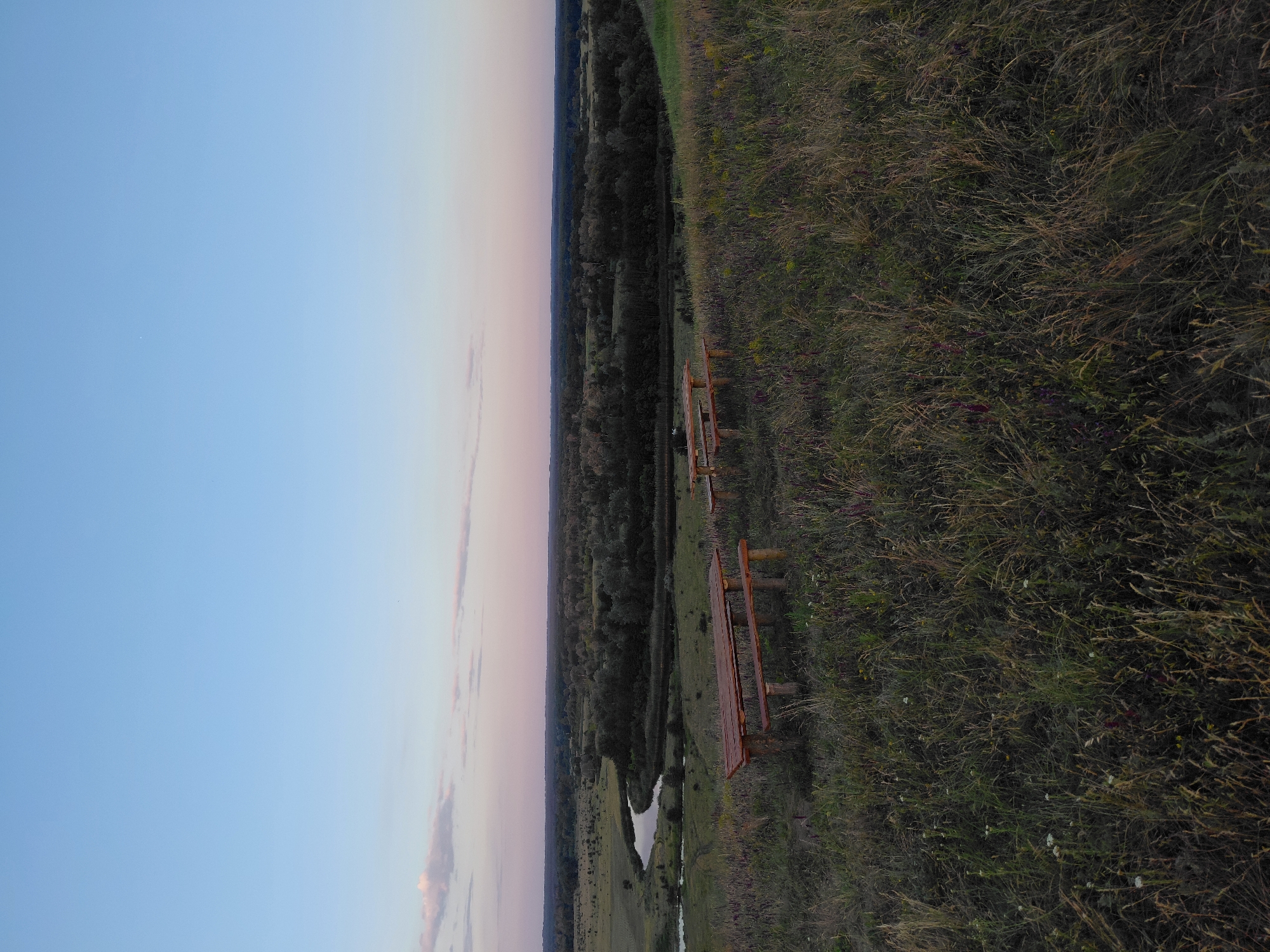 An outdoor, eye-level, wide shot captures a serene landscape at dusk in Ustyvytsia, Ukraine. The sky is a gradient of soft blues and pinks, transitioning to a pale blue above. In the foreground, a grassy hillside is dotted with small wildflowers in shades of purple and white, with a few scattered wooden picnic tables and benches. These are rustic, constructed from unfinished wood, and appear to be placed for visitors to enjoy the view.
The middle ground features a winding river that snakes through a densely wooded valley. The trees are dark and silhouetted against the fading light. The distant horizon is a broad expanse of dark trees and fields, suggesting a rural or natural setting. The overall atmosphere is peaceful and natural, with the wooden furniture indicating a designated viewing or resting spot within the landscape.