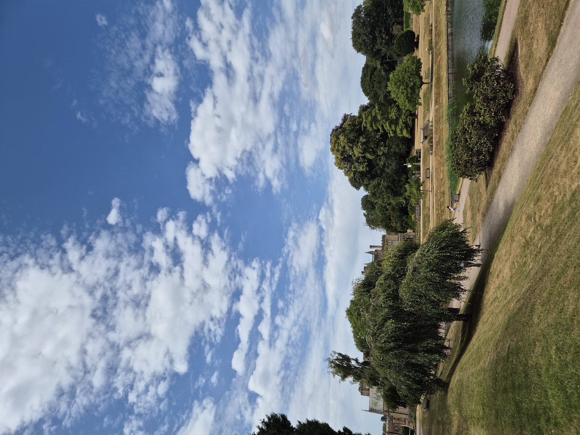 This is a vertical, eye-level, medium shot of a park scene under a partly cloudy blue sky. In the foreground, a pathway curves through dry, yellow grass, leading the eye toward a large weeping tree with a dense canopy of green leaves casting a shadow. To the right of the pathway and further back is a body of water with reflections of the sky and trees. Beyond the water are more trees and a large building, possibly a stately home or manor, with a pitched roof and multiple windows. The building appears to be made of stone and has a classic architectural style. The sky is filled with scattered white clouds against a clear blue backdrop.