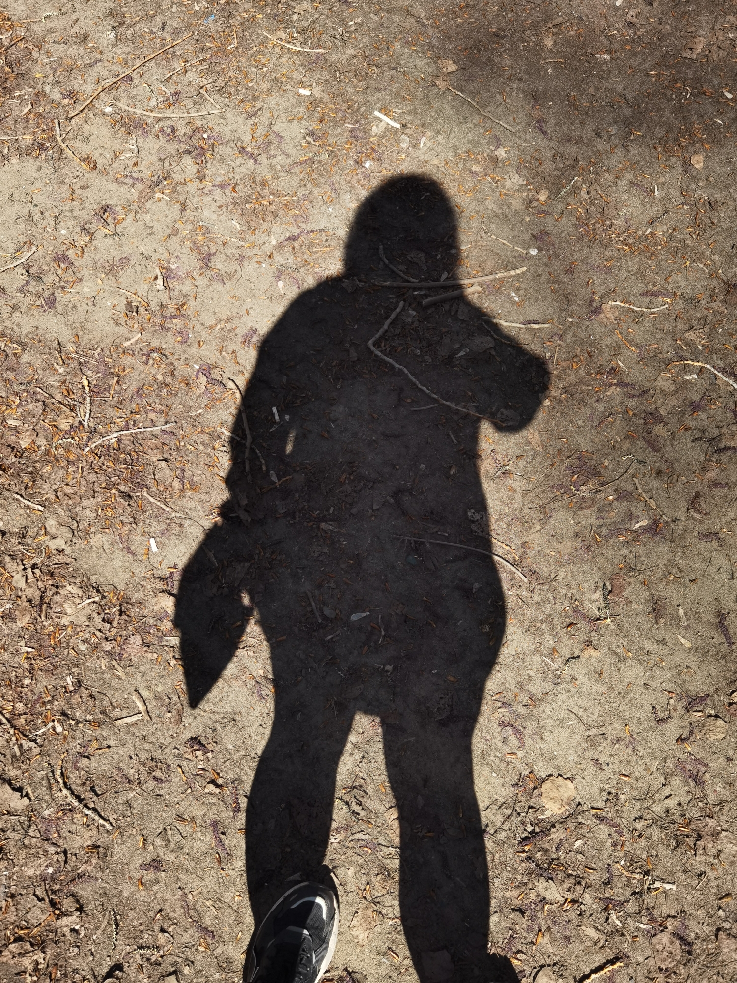 A shadow of a person is cast on the ground, likely in an outdoor area with a dirt surface covered with dry leaves and small twigs. A portion of a shoe is visible at the bottom of the image, at the bottom-left edge of the image. The location is presumed to be Chaikovsky, Russia. There are no other observable people, actions, or interactions evident from the image.