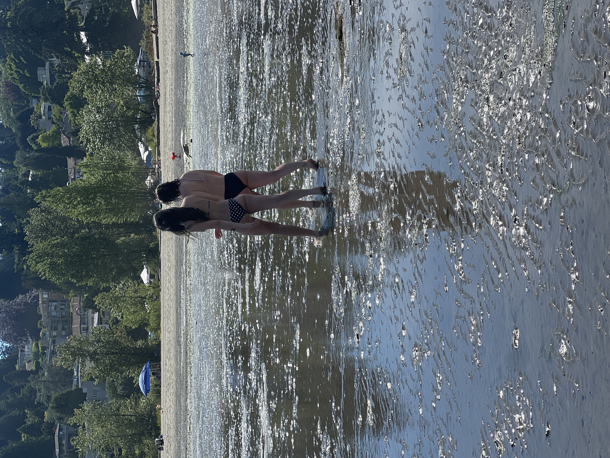 The image depicts a sun-drenched beach scene. In the foreground, two individuals, seen from behind, are wading in shallow, glistening water on a sandy and muddy shore. Both are wearing bikinis. The person on the left wears a black bikini with white polka dots, and the person on the right wears a plain black bikini. Their legs are submerged in the water, and the water reflects the bright sunlight, creating numerous highlights and ripples on the surface.
The middle ground of the image shows the beach itself, with a strip of sand dotted with small stones and seaweed. Several beach umbrellas and tents are set up, casting shadows on the sand. People are scattered across the beach, some sitting or standing. In the far distance, a gentle slope rises, covered in lush green trees and residential buildings. The sky is a clear, bright blue. The overall impression is of a tranquil summer day at the beach.