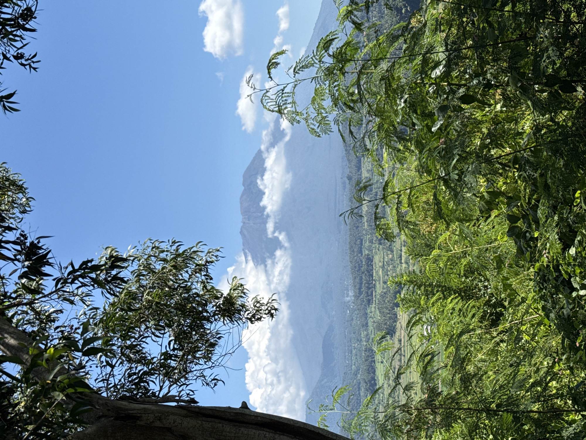 The image presents a landscape view captured in Bugbug, Indonesia. In the mid-ground is a mountain partially obscured by clouds. In the foreground is dense vegetation, with tree branches framing the scene on both sides. The sky is blue with scattered white clouds. Below the mountain are tiered fields, characteristic of agricultural landscapes. The vegetation on the right side of the frame features fine, feathery leaves, whereas the vegetation on the left side has broad leaves. A large tree trunk is visible in the lower left corner. The overall impression is a natural landscape with mountainous terrain and cultivated fields.