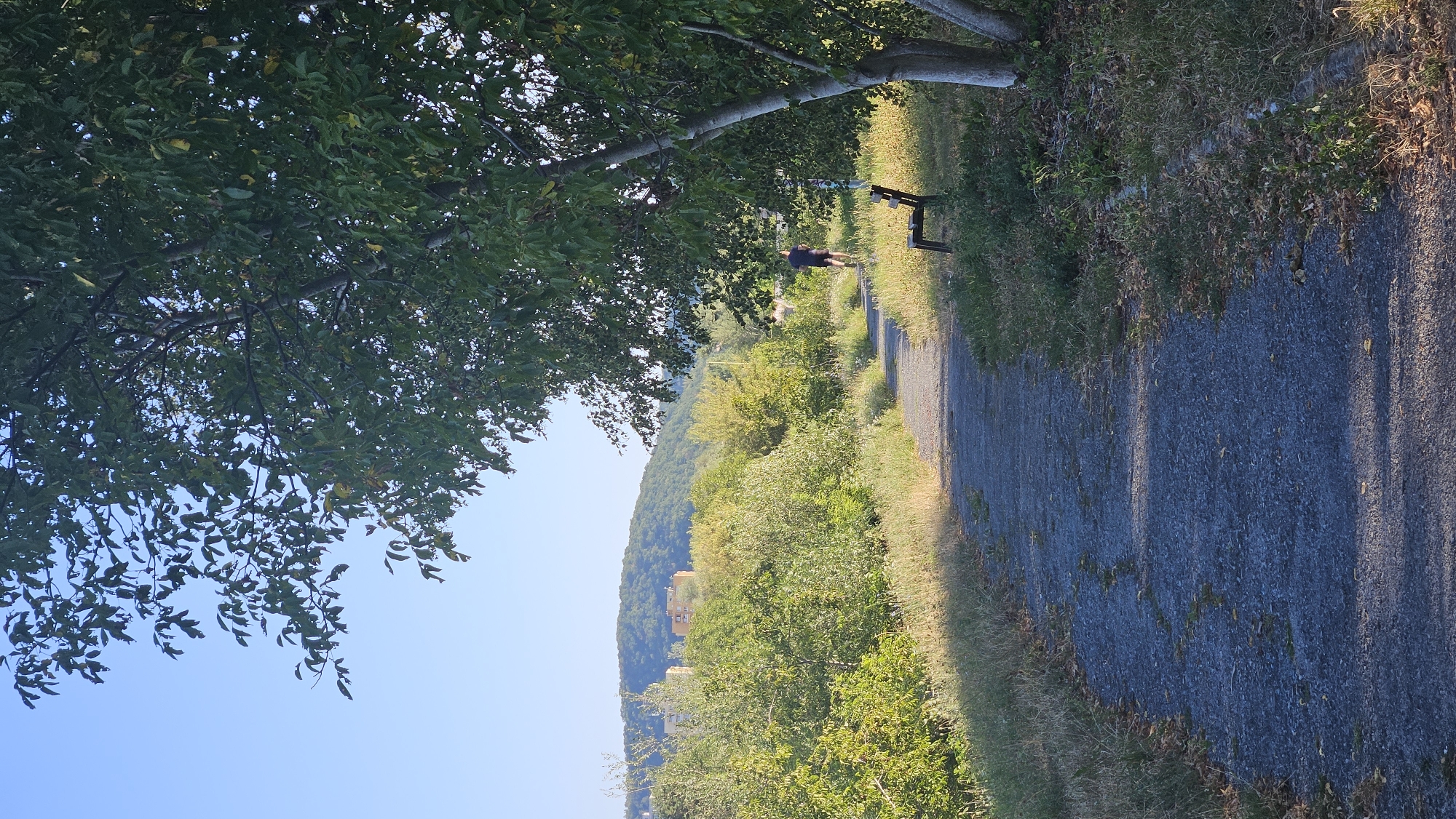 An outdoor scene depicts a paved pathway winding through a park-like setting under a clear blue sky. The pathway, composed of grey gravel with visible cracks and some vegetation growing through, is bordered by grassy areas and mature trees with dense green foliage. To the right, a dark wooden park bench sits near the base of a large tree. In the distance, a lone figure, a person wearing dark clothing, is seen jogging away from the camera along the pathway. Beyond the immediate park area, a gentle green hillside rises, dotted with trees and topped with several residential buildings in muted orange and yellow tones. The overall impression is of a serene, sunny day in an urban green space. This image was taken on the path leading to the observation deck of the Dlhý vrch hill in Prešov, Slovakia, likely during the late afternoon given the long shadows cast by the trees.