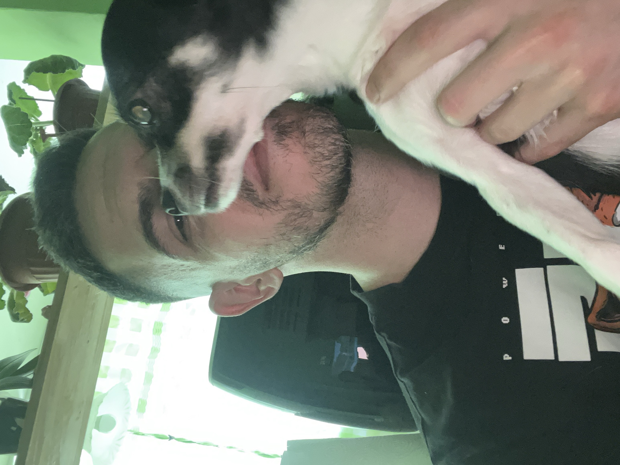 A man and a small dog are shown in a selfie. The man is wearing a black t-shirt and has a beard. He is holding the dog up to his face. The dog is black and white and appears to be licking the man's nose. The background is blurred, but it appears to be an indoor setting with plants and a window with curtains. The overall lighting suggests it is daytime. The location is not specified in the image.
