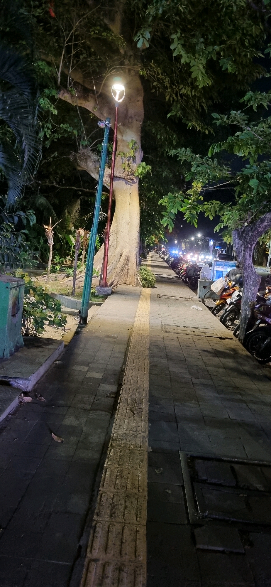 The image captures a sidewalk in Denpasar, Indonesia, at night. A large, thick tree trunk is a prominent feature on the left side, illuminated by a streetlamp positioned on a pole in front of it. The sidewalk is paved with gray square tiles, with a raised tactile paving strip in yellow running down its center. To the right of the sidewalk, a row of motorcycles is parked, their headlights and taillights creating streaks of light in the darkness. In the background, streetlights and vehicle lights suggest traffic on a road. The environment appears to be a well-lit urban area with lush vegetation surrounding the sidewalk and the large tree. The scene is devoid of any discernible human activity or interactions.