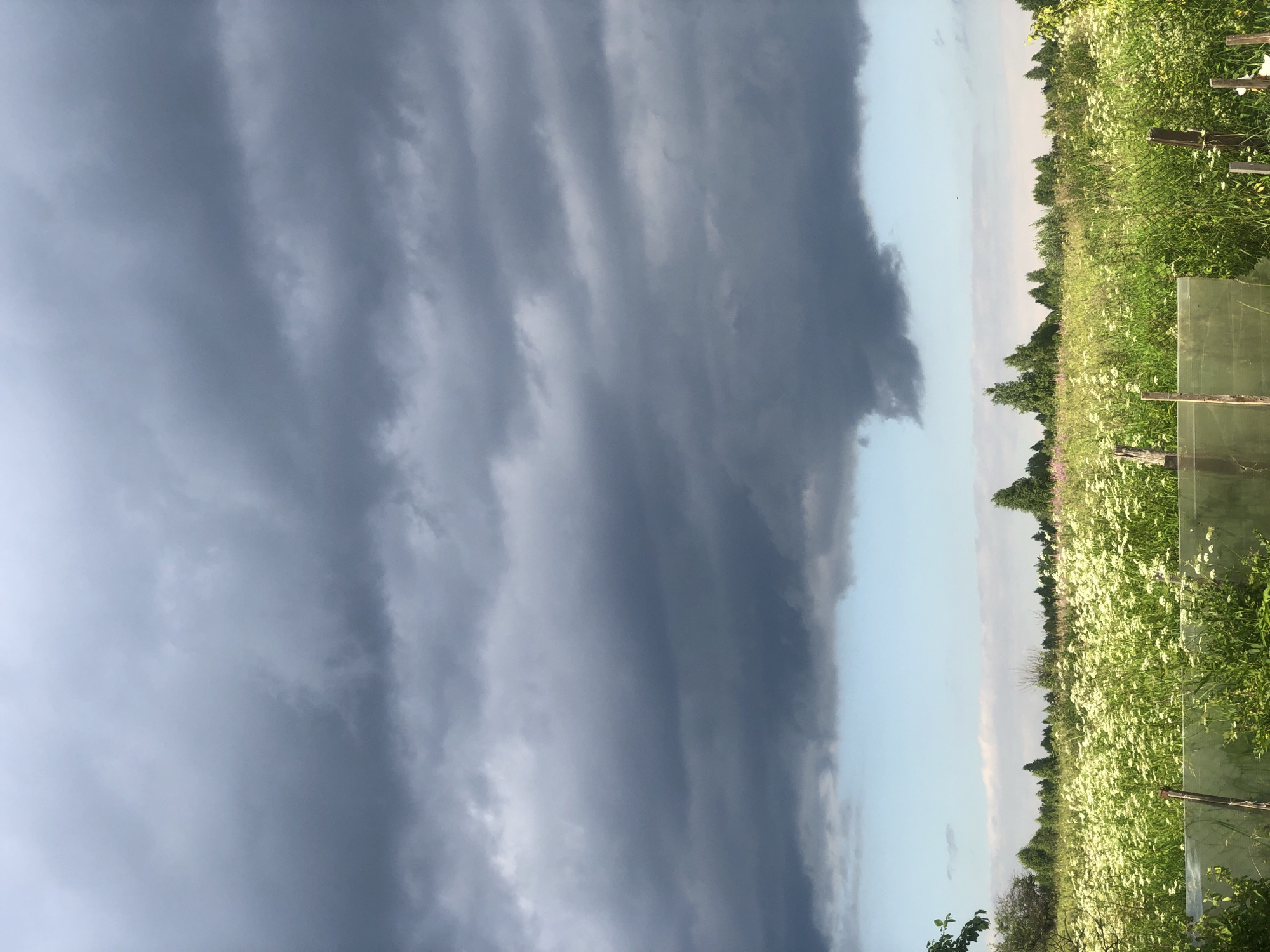 This media file captures a landscape scene dominated by a dramatic sky and a lush, green field. The sky is filled with large, dark, ominous clouds that stretch across the left side of the frame, suggesting the possibility of an approaching storm. To the right, the sky transitions to a lighter, clearer blue, creating a stark contrast.
The ground is covered in dense green grass and a profusion of small white wildflowers, indicating a natural, perhaps rural, setting. A line of trees forms a distant horizon, with some appearing taller and more mature than others. In the foreground on the right, there are elements of human intervention: wooden posts and a transparent sheeting material, possibly part of a fence or a greenhouse structure, disrupting the otherwise natural landscape. The lighting suggests it is daytime, likely late afternoon or early evening, given the soft hues in the sky and the shadows cast by the clouds.
There is no discernible activity or event taking place in the image. The focus is on the natural elements of the sky and the field. The overall mood conveyed is one of serene natural beauty, tinged with a sense of anticipation or unease due to the threatening clouds. The location context of Zhukovo, Russia, reinforces the impression of a rural or semi-rural environment. There is no visible text in the image.
