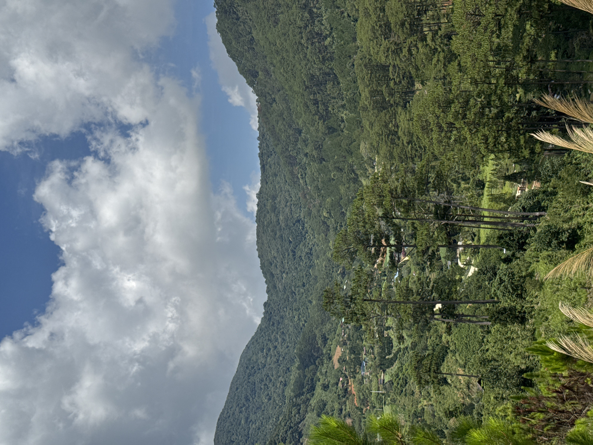 The image shows a mountain landscape in Hiep Thanh, Vietnam. Lush green vegetation covers the mountain, interspersed with residential buildings. A partly cloudy sky is visible. Tall trees are situated closer to the foreground.