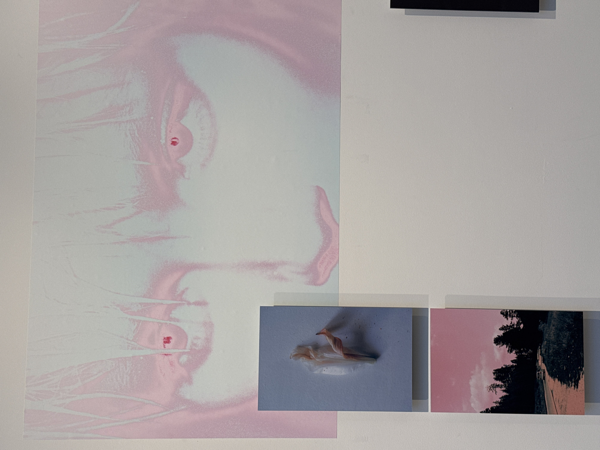 The image depicts a collage of artwork on a white wall. On the left is a large pink and white image of a face, possibly a print or poster. To the right are two smaller photographs: one featuring a light blue background with an organic-looking, ribbon-like object and another of a forest landscape with a pinkish sky. The location is unspecified.