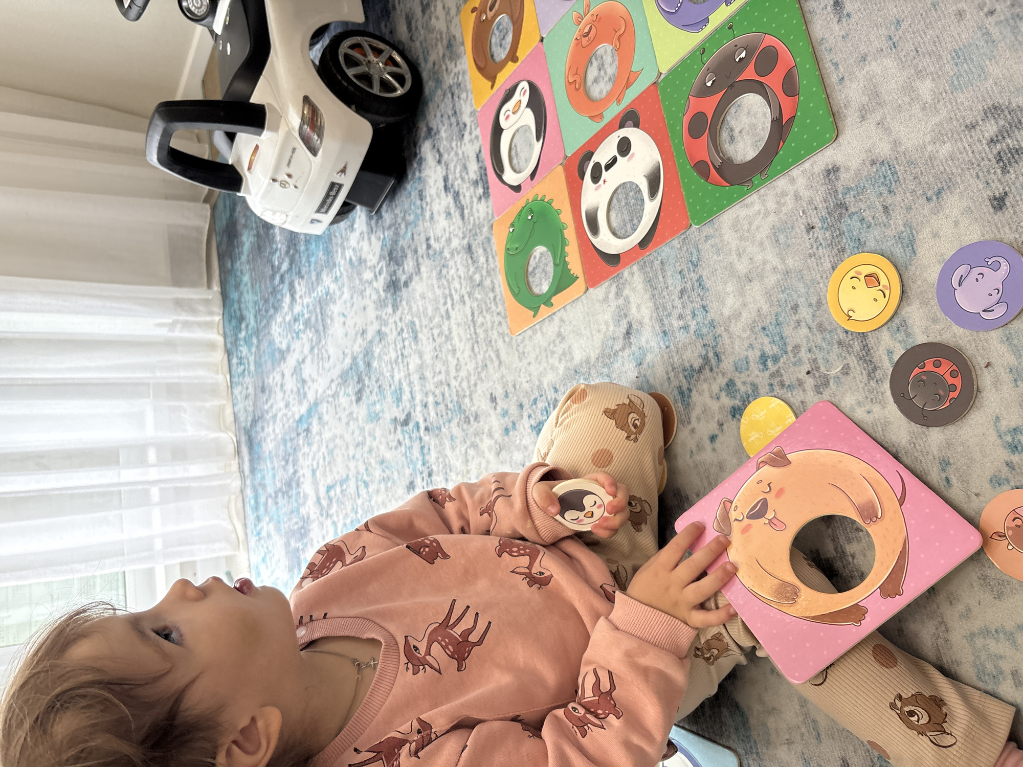 A toddler lies on a rug patterned in shades of blue and grey, playing with animal-themed matching game pieces. The toddler wears a pink sweatshirt and beige pants with deer motifs. One hand holds a penguin game piece, while the other touches a pink square game piece depicting a dog. Other game pieces, including a ladybug, panda, and various other animals, are scattered around. A white toy car with a black bumper is visible in the upper left corner of the image. The scene appears to be indoors, near a window covered by white curtains. The location is unknown.