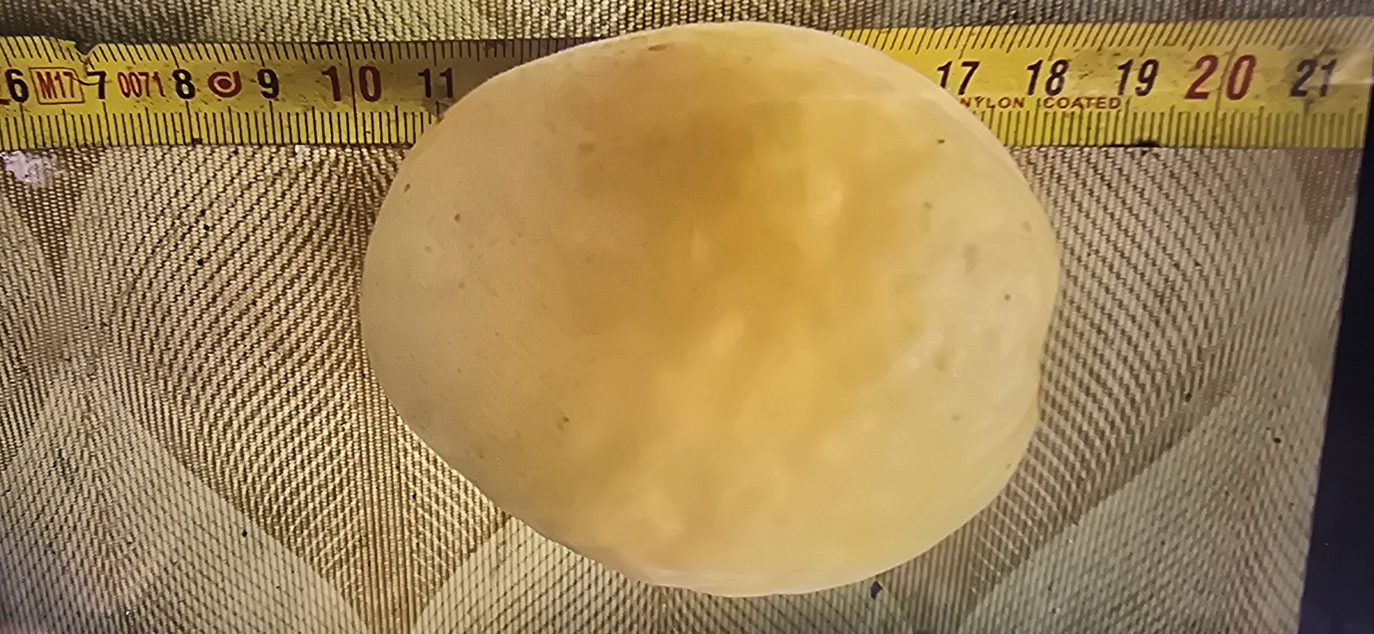 A large, light yellow, oval-shaped object rests on a textured, checkered surface. A yellow measuring tape, marked with black numbers and lines, runs vertically along the right side of the object. The measuring tape displays markings from 6 to 21, with finer increments between the numbered units. The object appears smooth, with subtle variations in shading that suggest its curved surface. The background is a blurred, patterned fabric. The scene is captured from a slightly elevated, angled perspective.